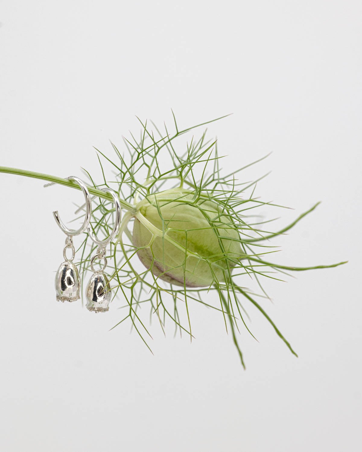 silverseeds_produktne_1500px_180kb_-9.jpg