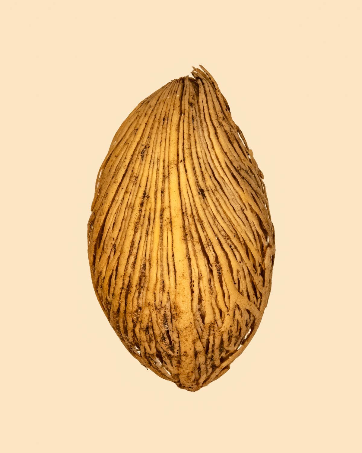 dodatno_-107.jpg