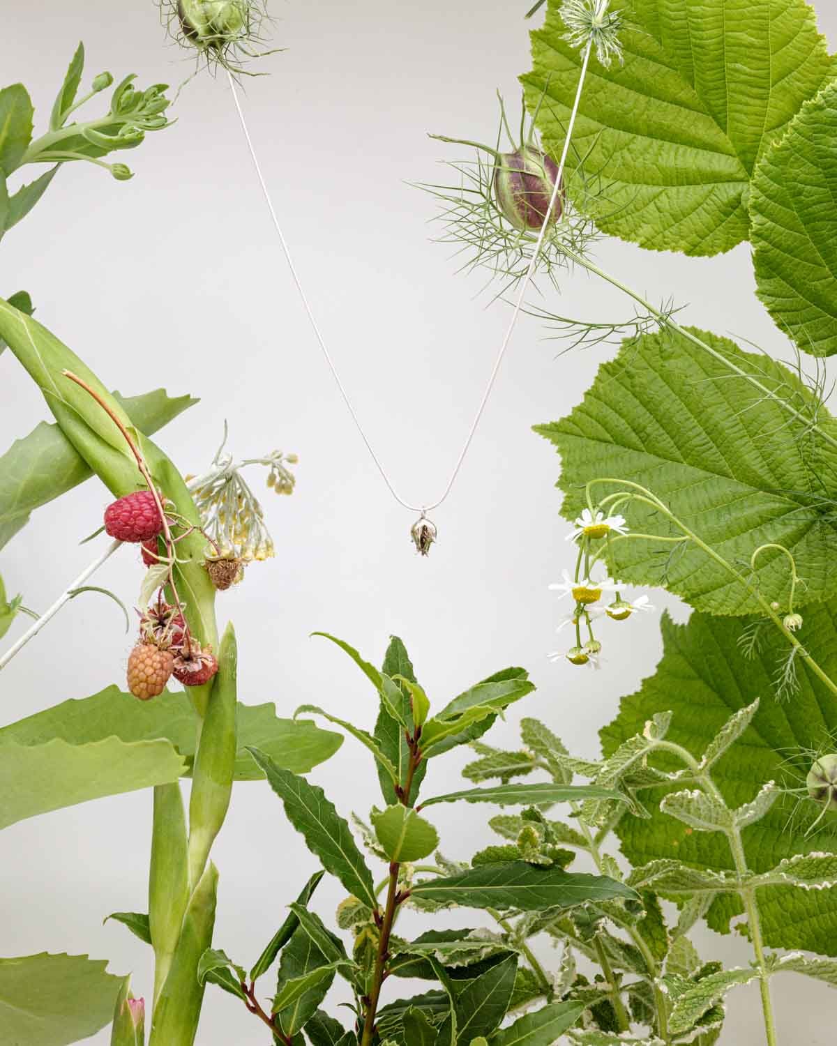 silverseeds_produktne_1500px_180kb_-52.jpg