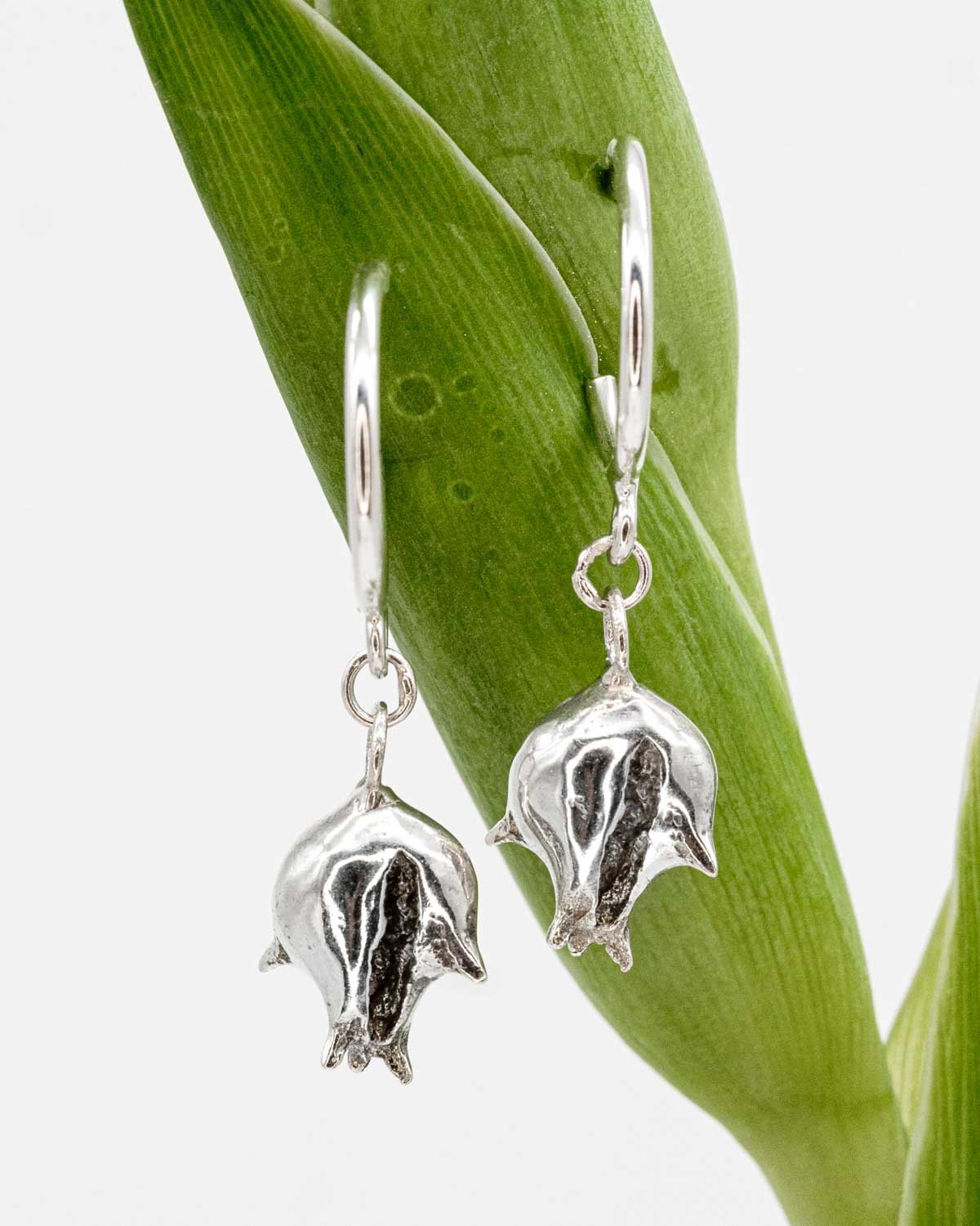 Silver Seeds - Chinese thuja earrings
