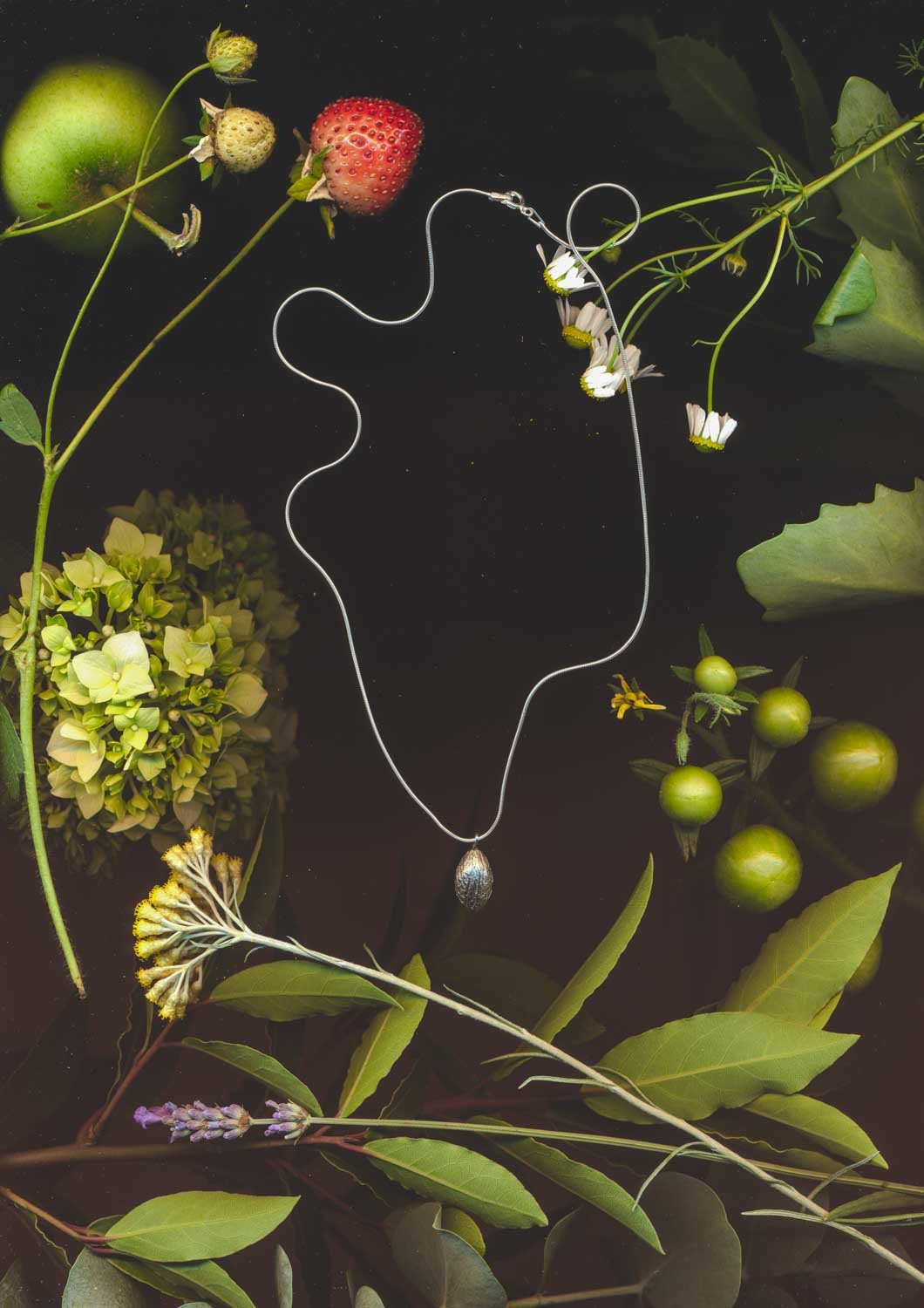 silverseeds_produktne_180kb_sken_6.jpg