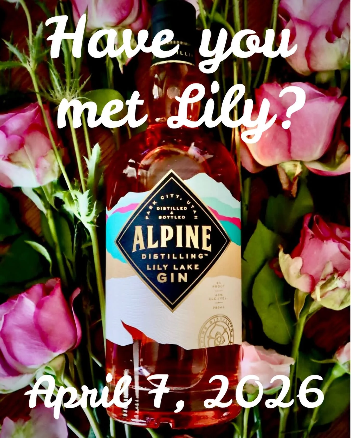 Have you met Lily? You will&hellip;🌸