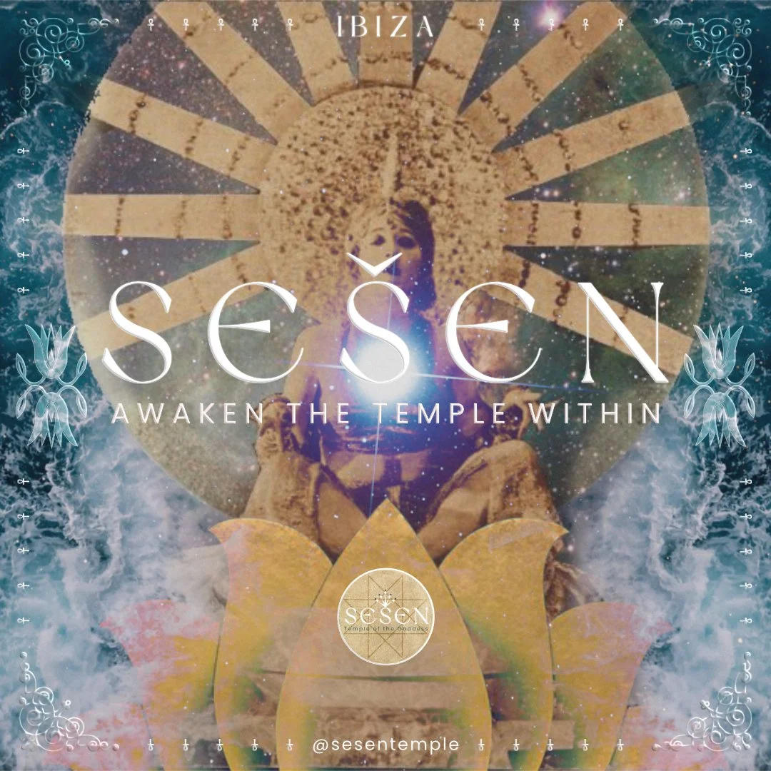 SESEN IBIZA-display.jpg