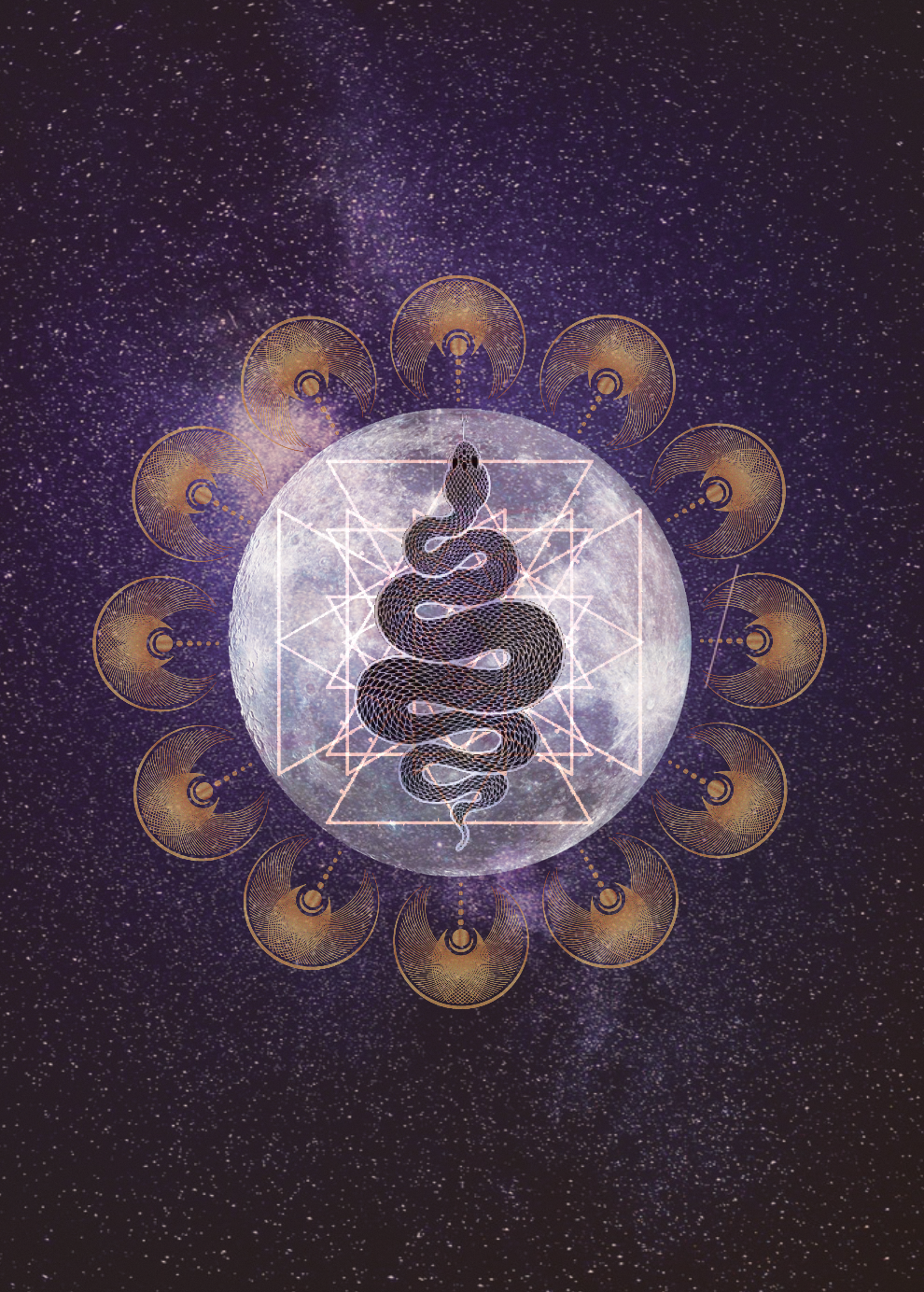 Screen Shot 2023-06-21 at 11.52.08 am.png