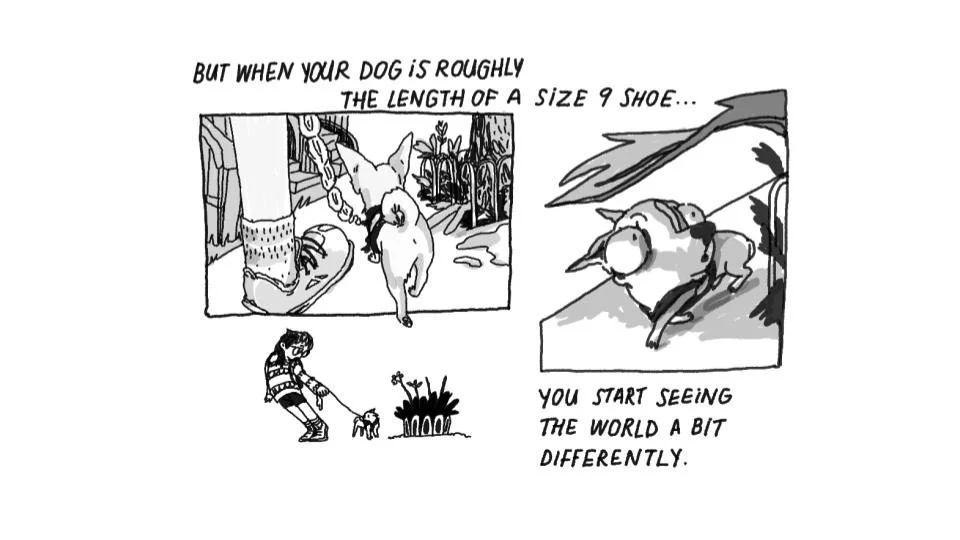 comic portfolio (2).jpg
