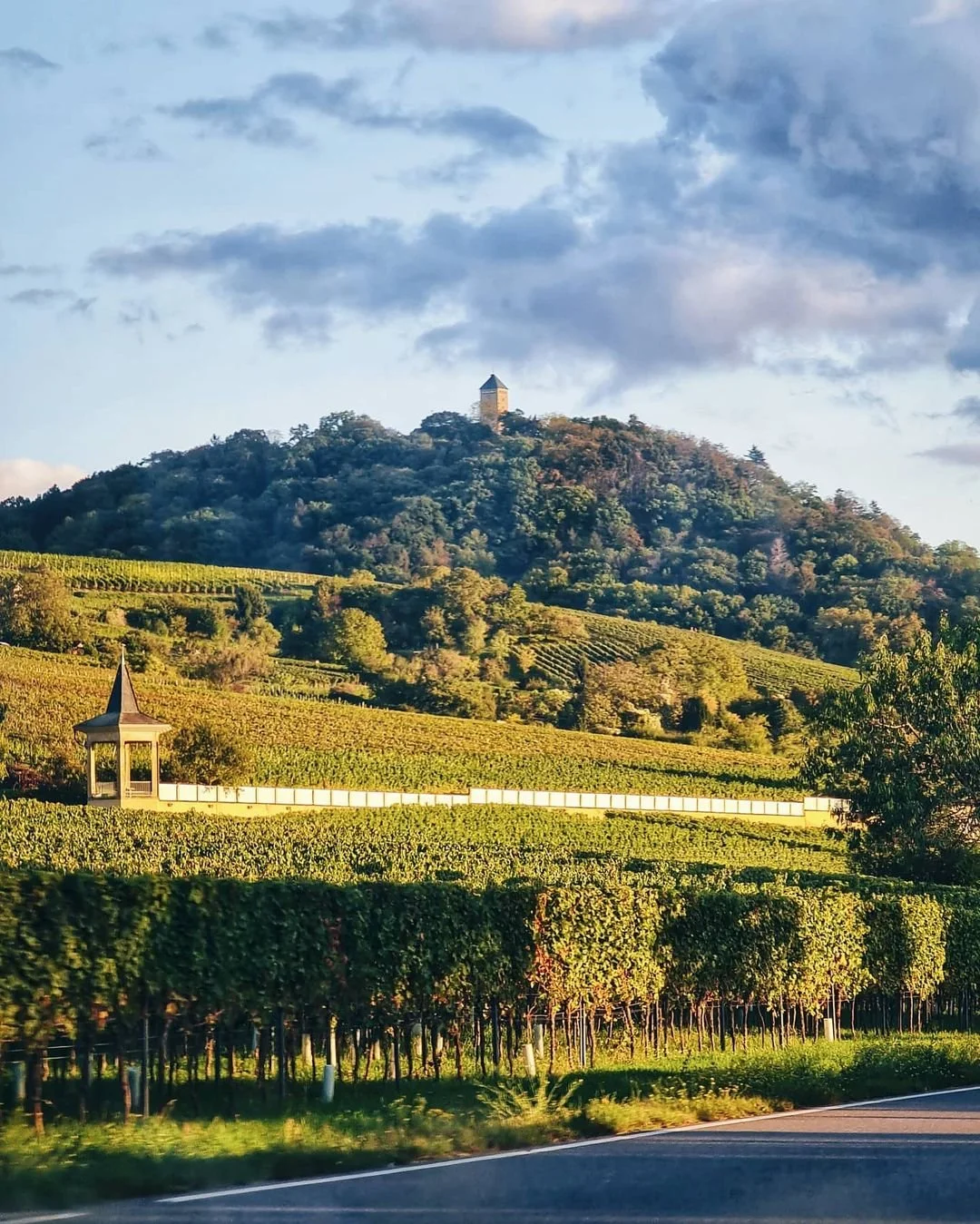 Weinberge um Bensheim