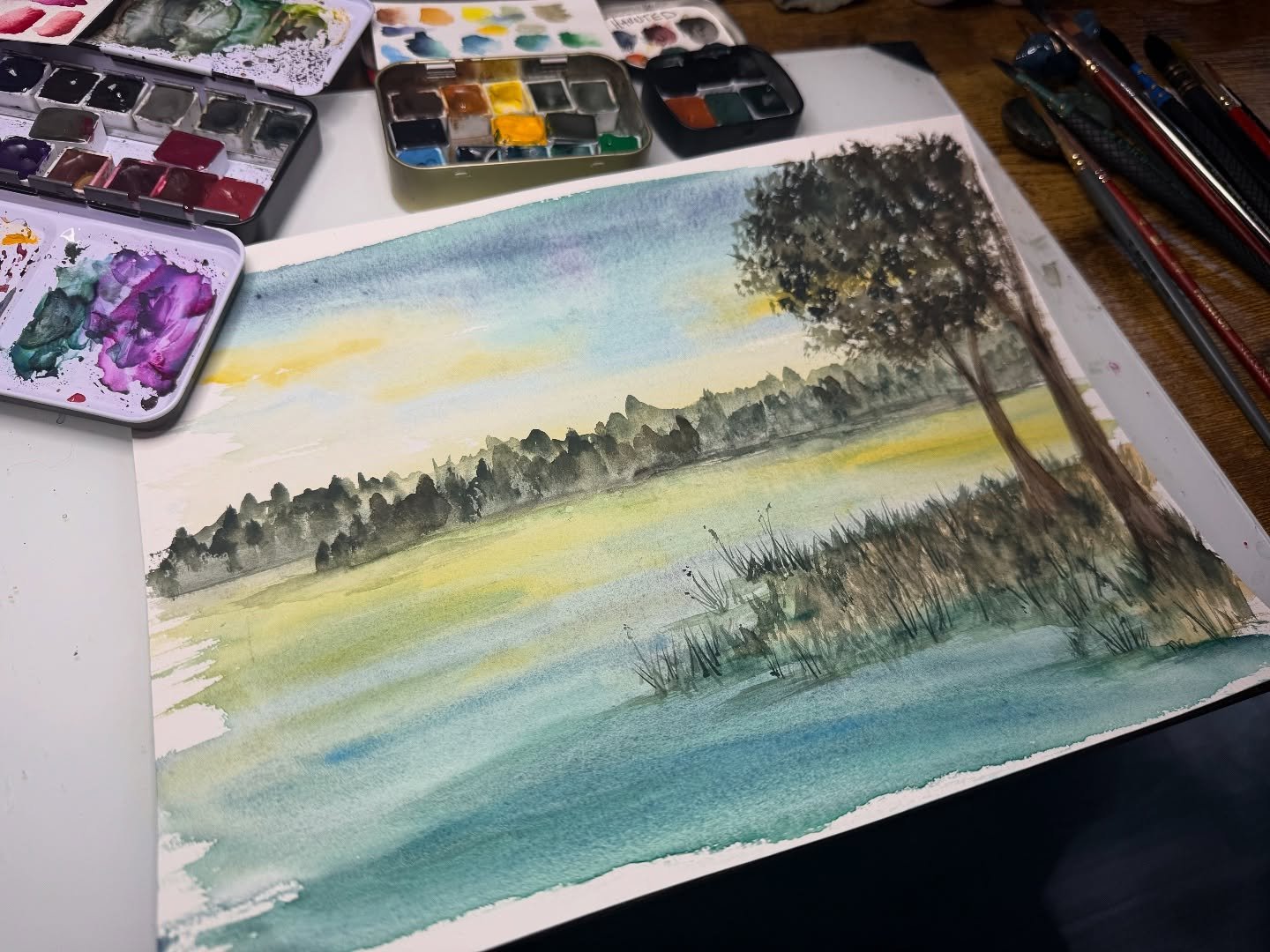 Inspired by morning nature near by :) so many colors in the cool morning before summer heat :) #watercolor #watercolorartist #watercolorartwork #localart #newenglandartist
Surface: @cansonpaper #cansonpaper
Color: @dustybeewatercolors #dustybeewat