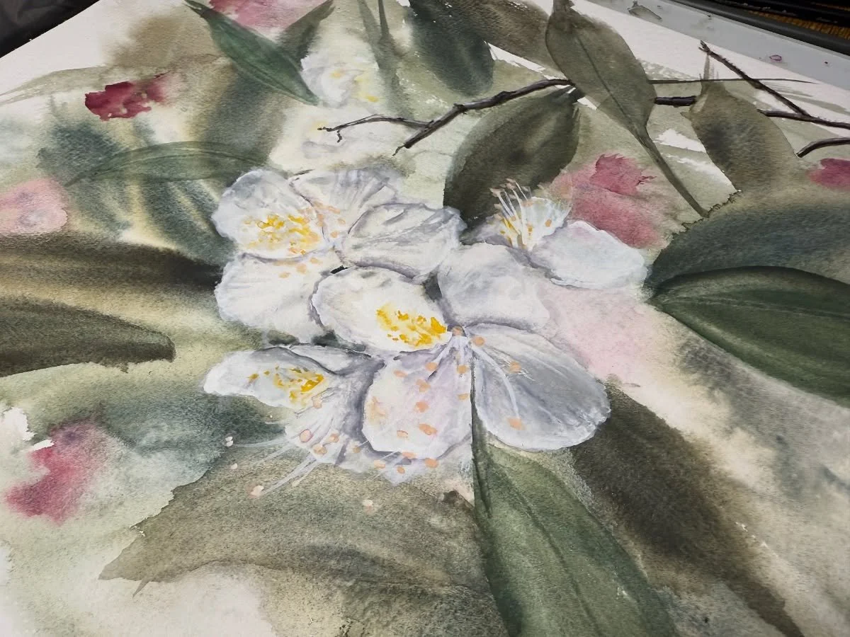 The weather forced me in from the studio, so this #artwip will get finished in a few days :) #watercolorart #watercolorfloral #localart #smallthings
Surface: @hahnemuehle_global #sugarcanepaper
Color: @dustybeewatercolors #dustybeewatercolors and