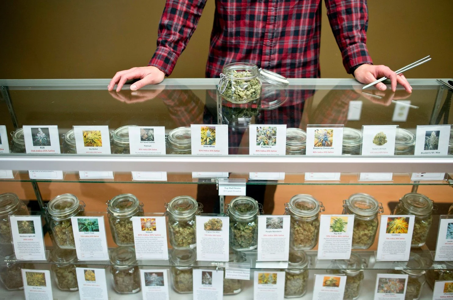 MariProtect Cannabis Insurance