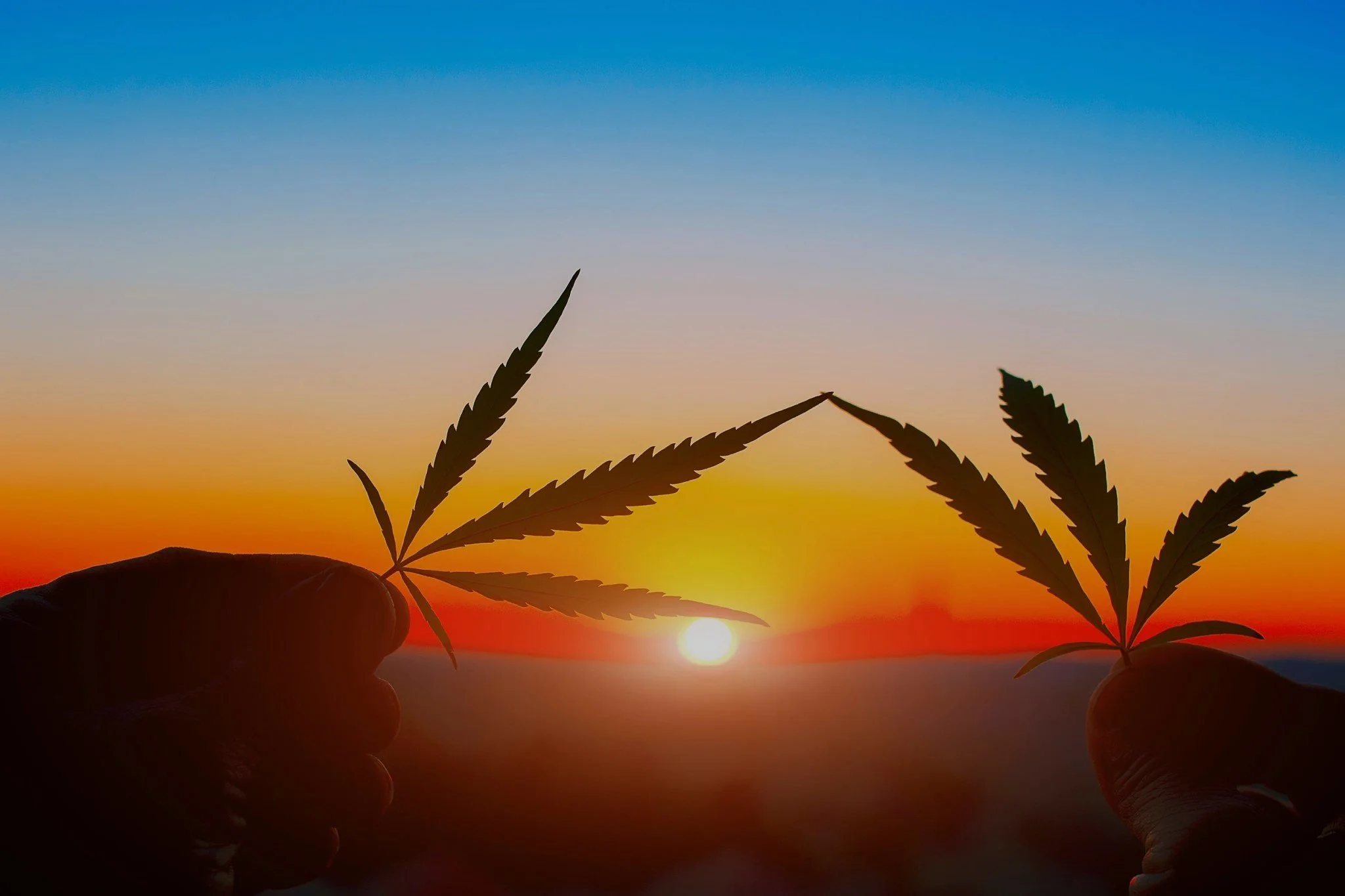 MariProtect Cannabis Insurance