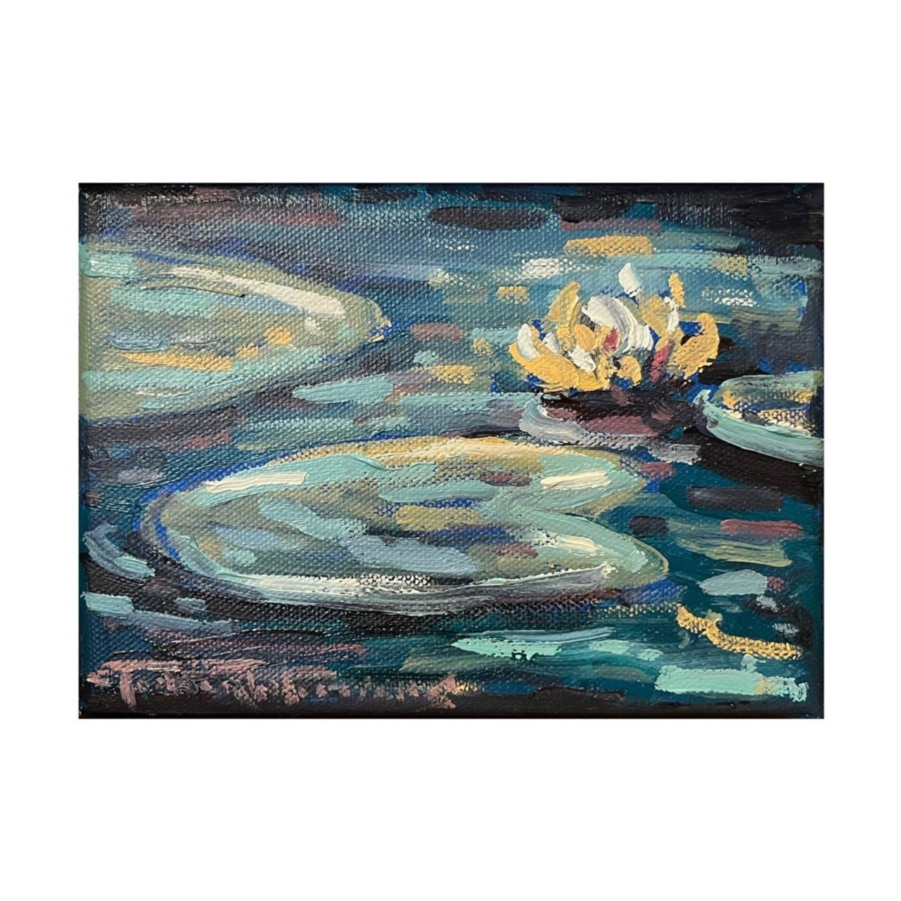Small Color Study - 2024