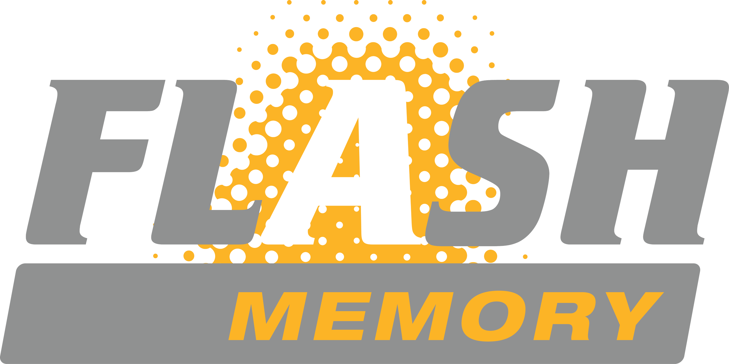 02 Logo Flash Memory.png