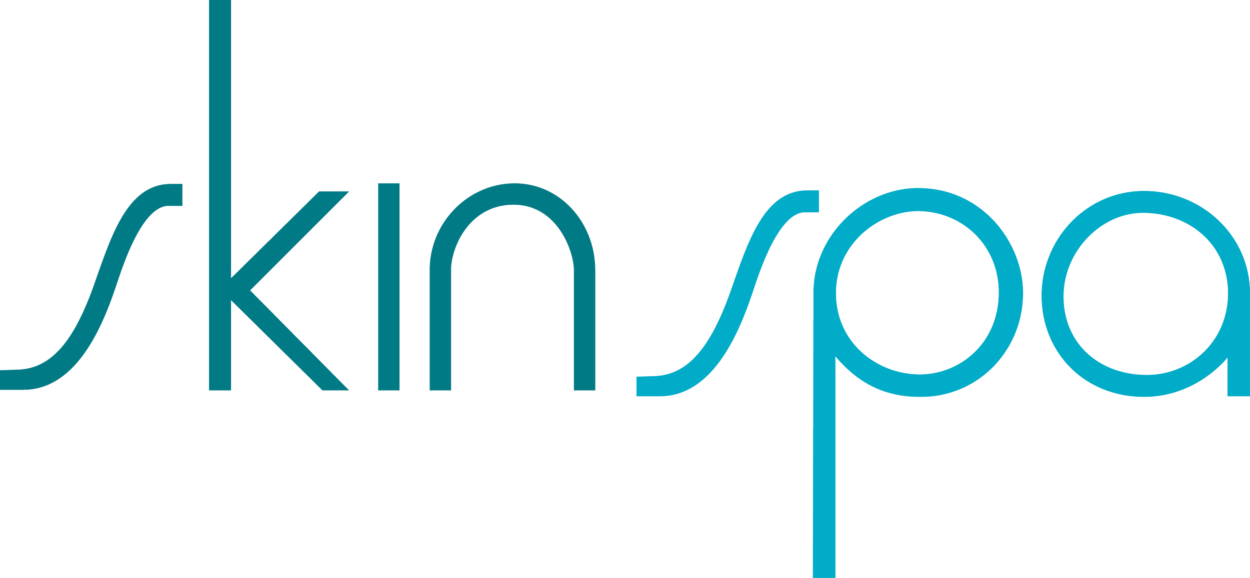 08 Logo Skin Spa.png