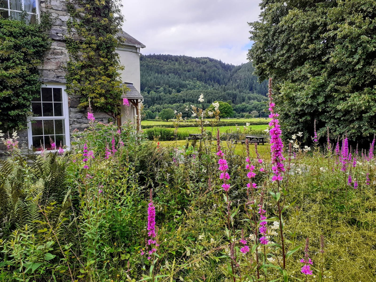 RYC-Building-and-countryside.jpeg
