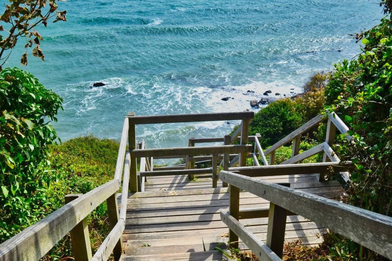 1fbadbd7__totland-widdick-chine.jpg