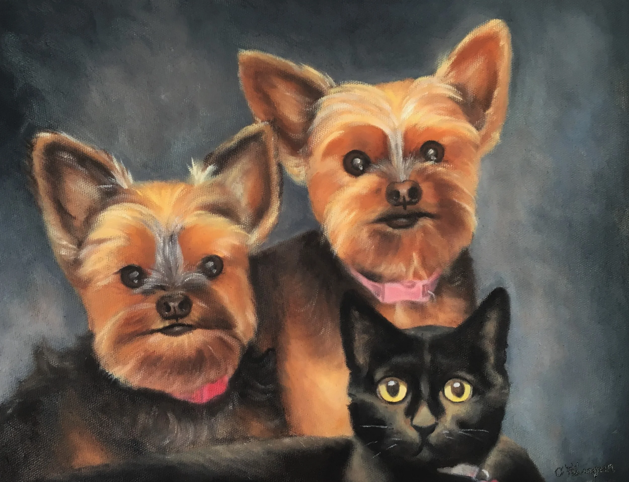 "Two Yorkies and a Cat"