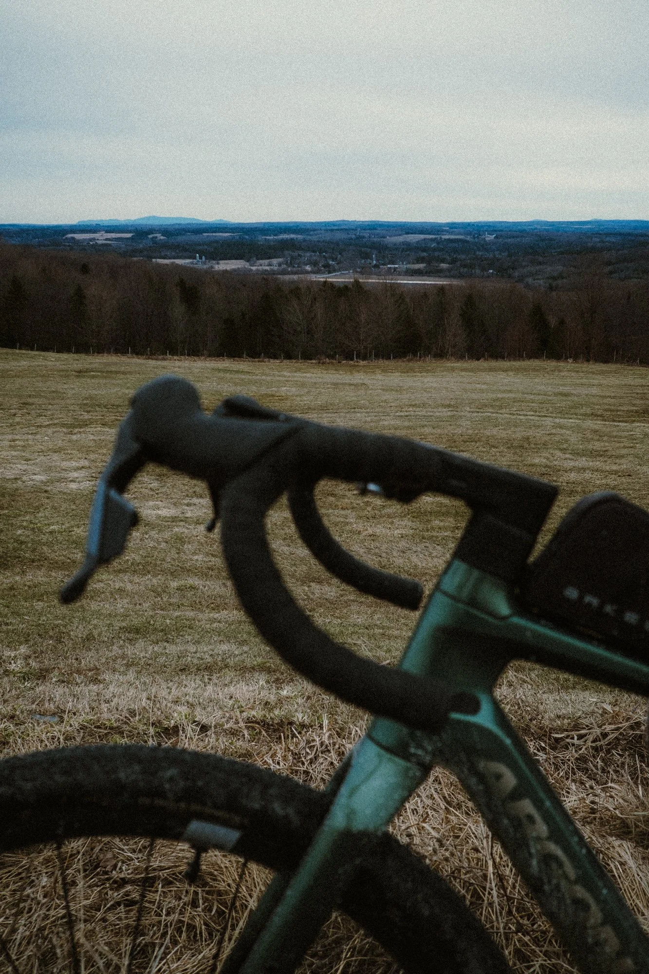 _DSF0557.jpg