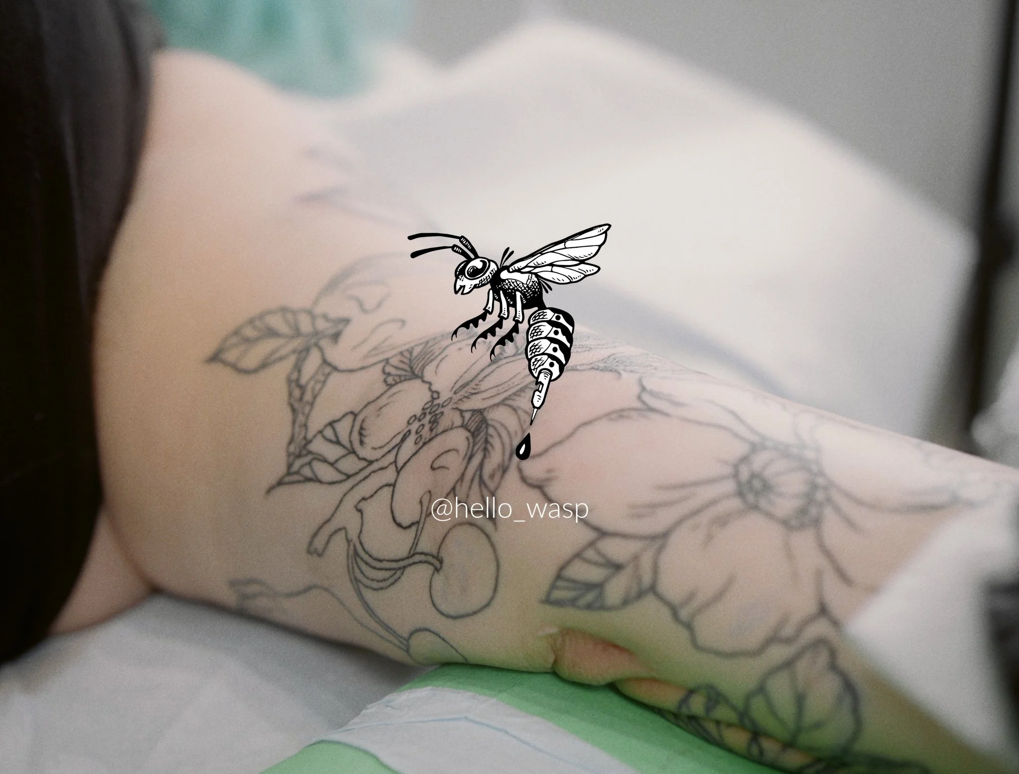 Hello Wasp_2.14.2.jpg