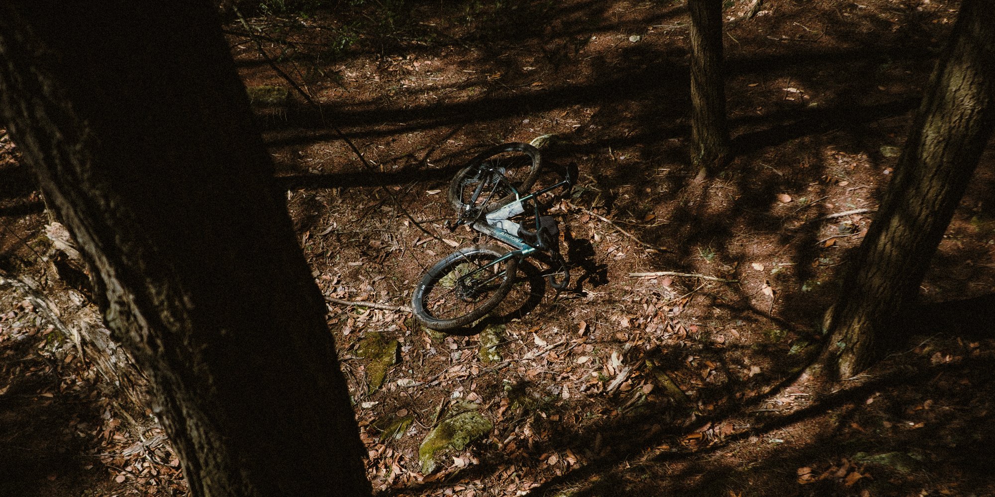 _DSF0672.jpg