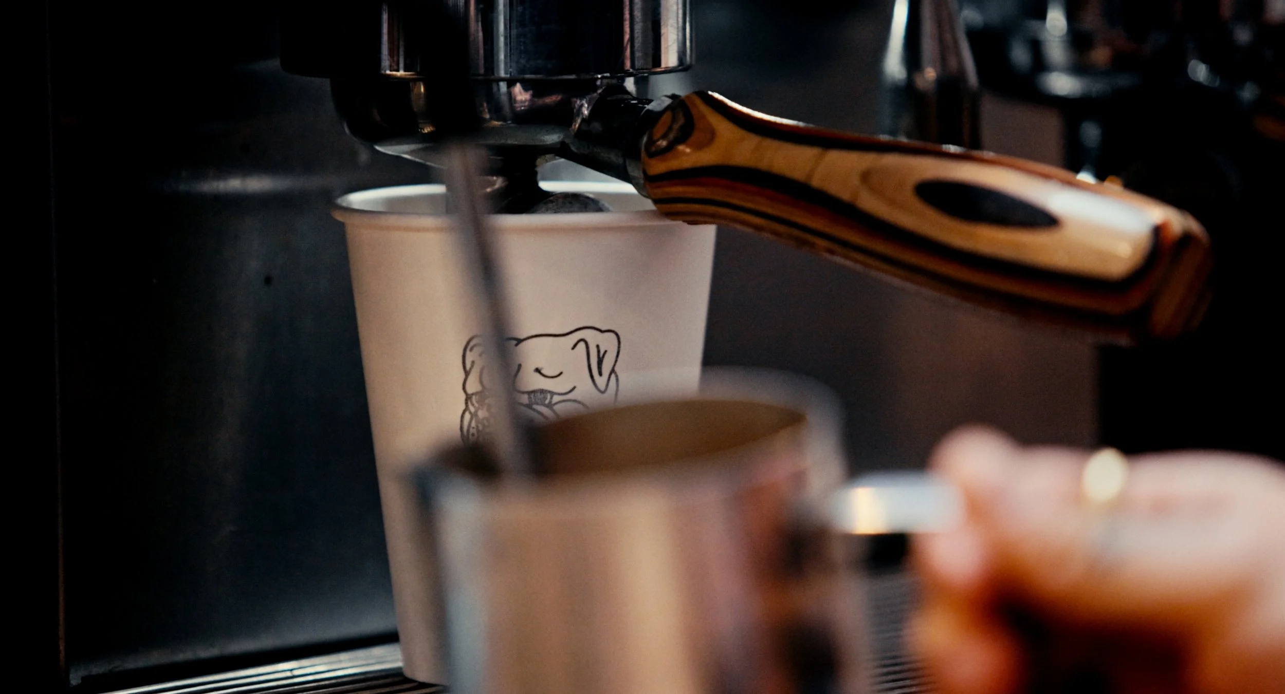 Lewis Cafe_2.15.1.jpg