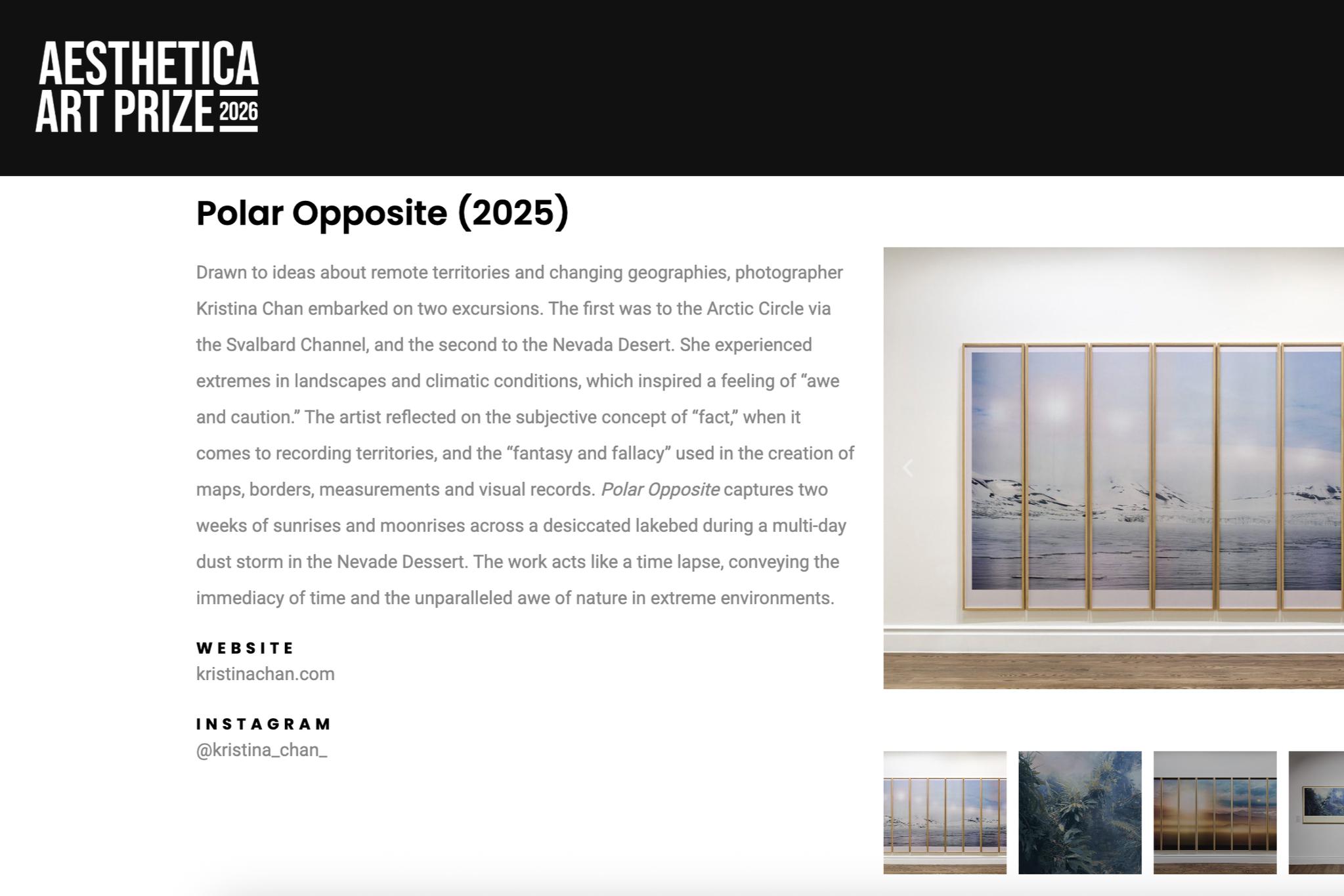 Aesthetica Art Prize, artist feature