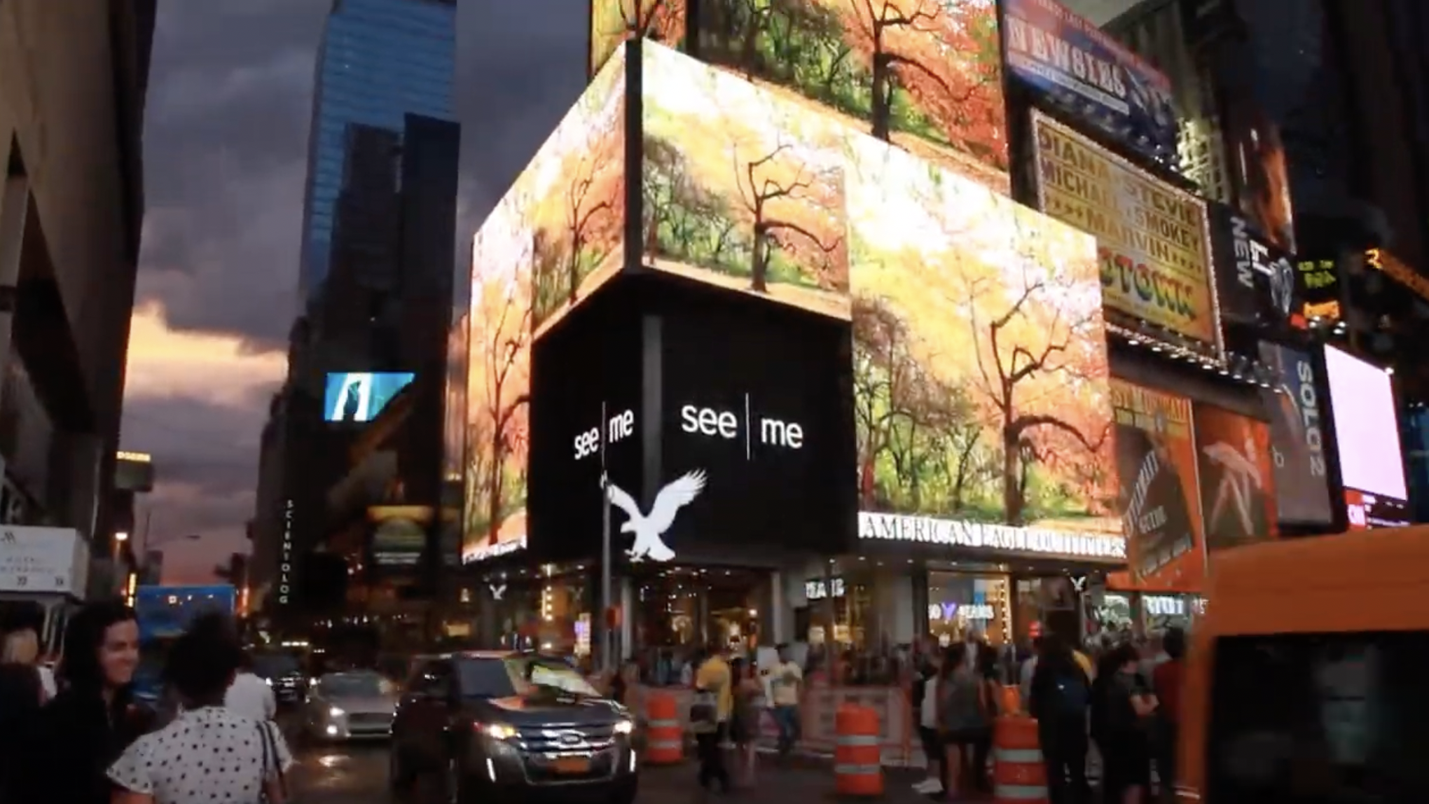 See Me Take over Time Square, Video Installation 