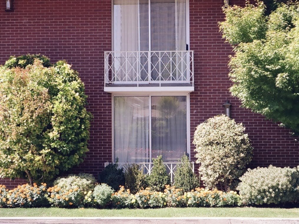 building summer 35mm.jpg