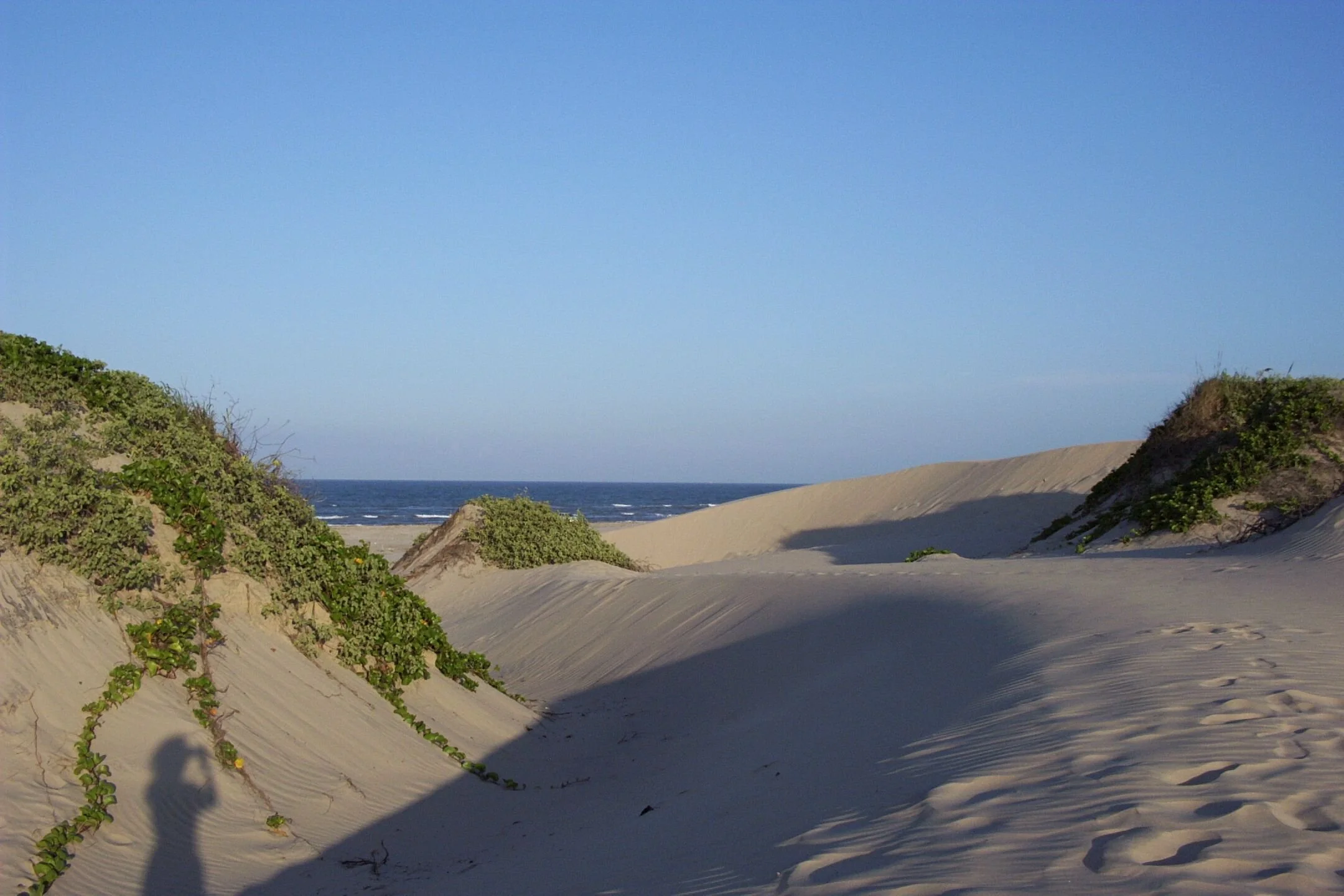 dunes7.jpg