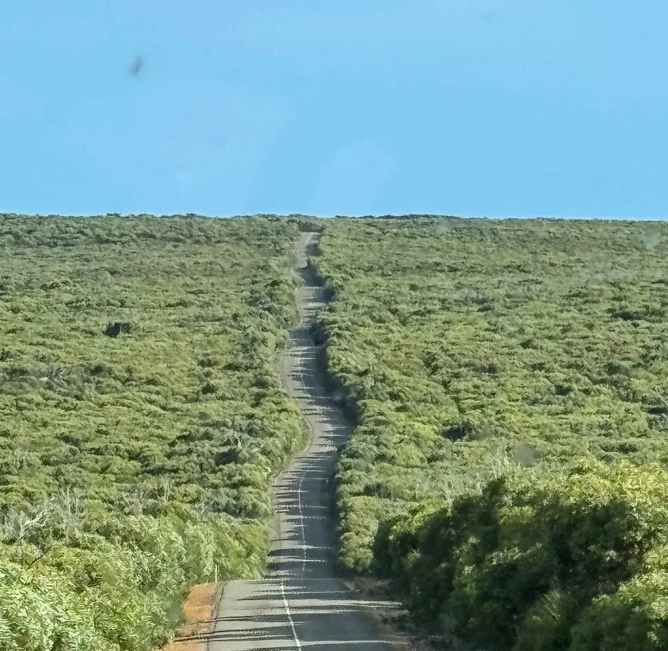 A long, narrow dirt road running through a densely green, hilly landscape with no buildings or other structures, extending towards the horizon under a clear blue sky.