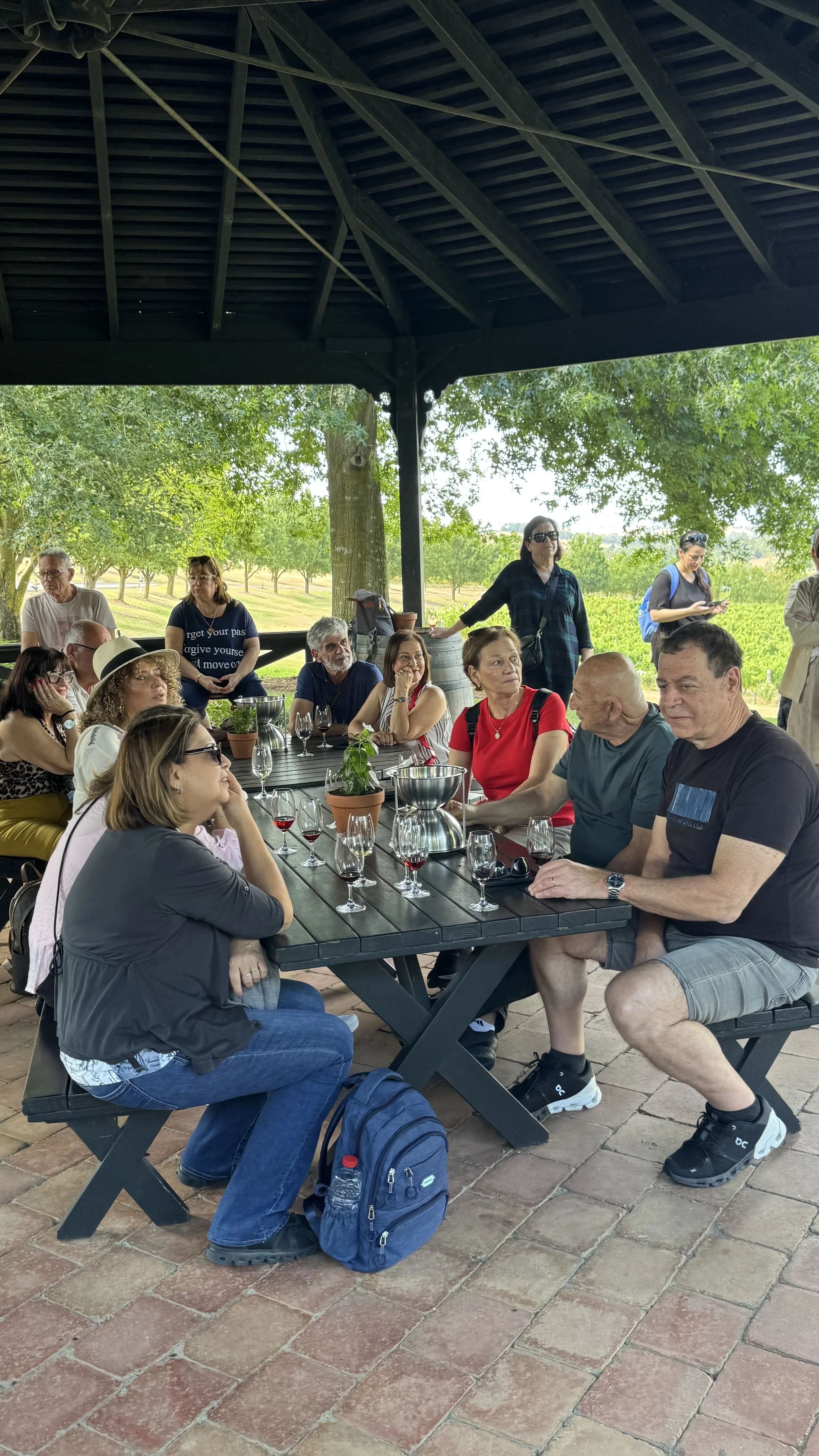 A group of people gathered around a picnic table outdoors, under a pavilion, with wine glasses and potted plants on the table, in a scenic location with green trees and fields in the background.