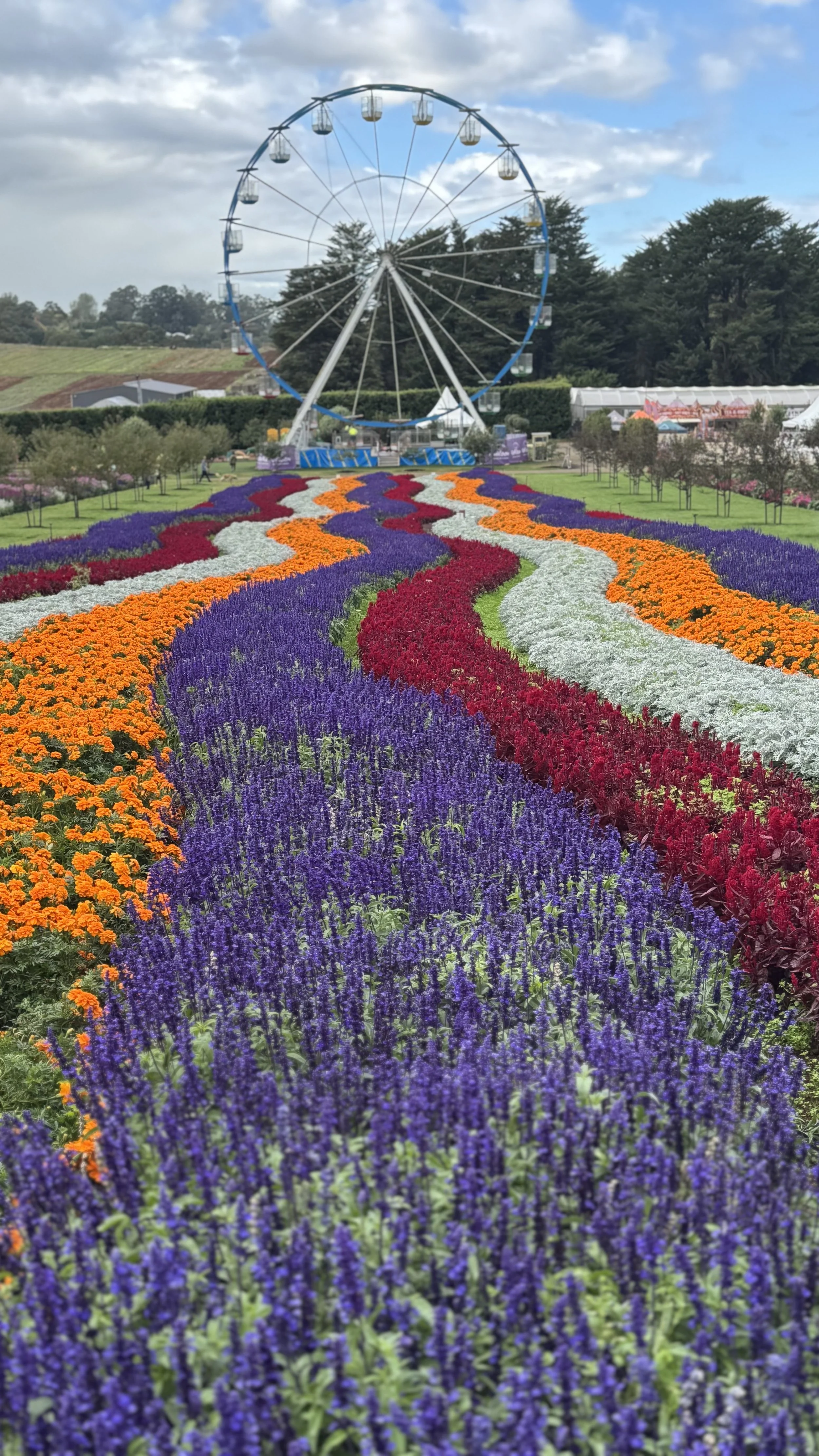 Colorful flower garden with winding flower beds in purple, orange, red, and white, leading to a large Ferris wheel in the background under a partly cloudy sky.