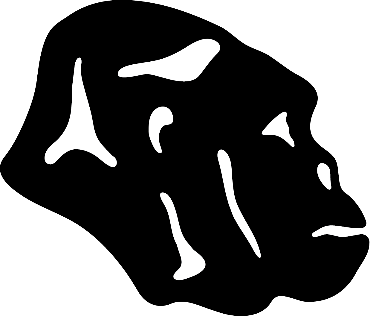 Jose Roman | Graphic Design