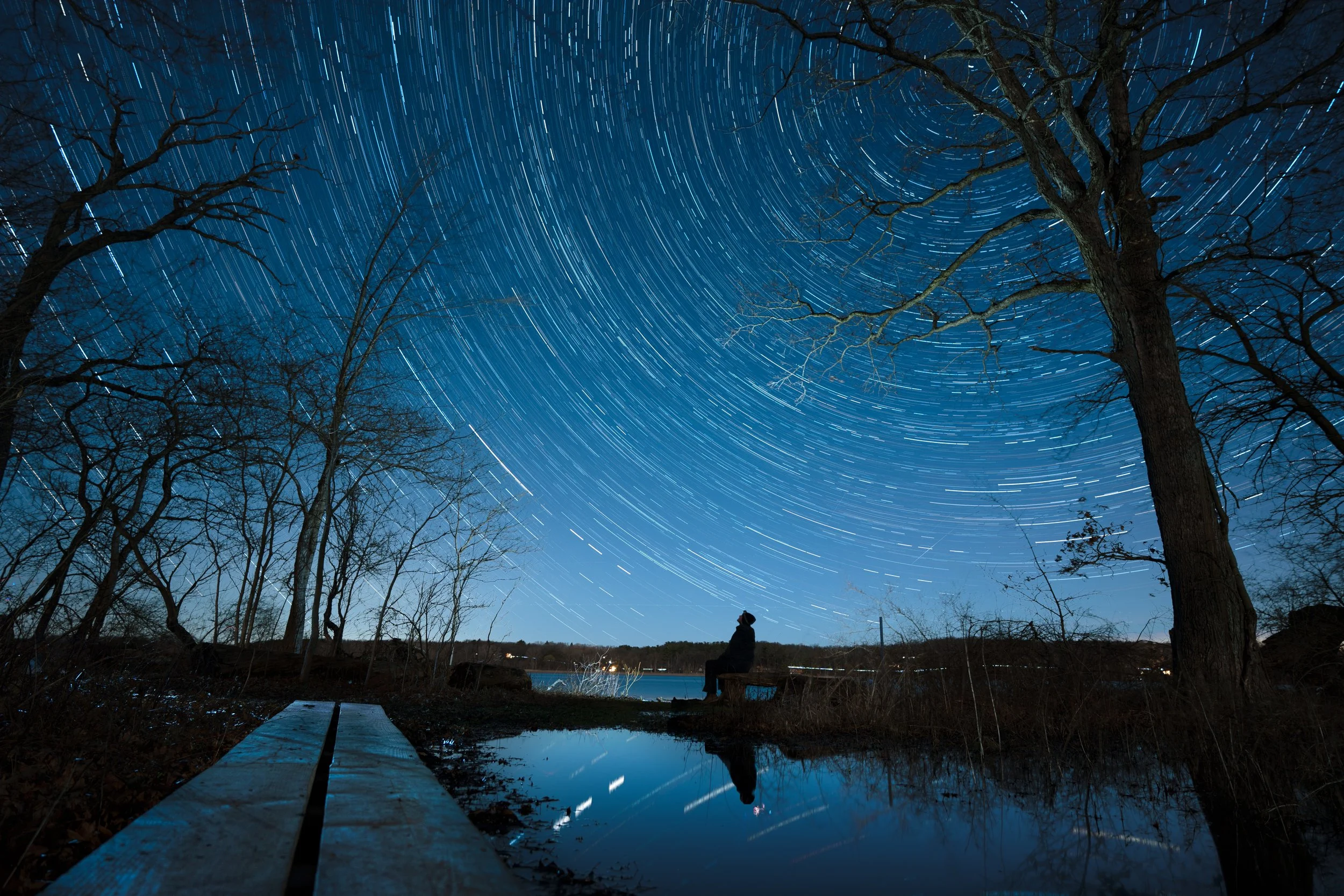 West Lake Preserve, Chelsea