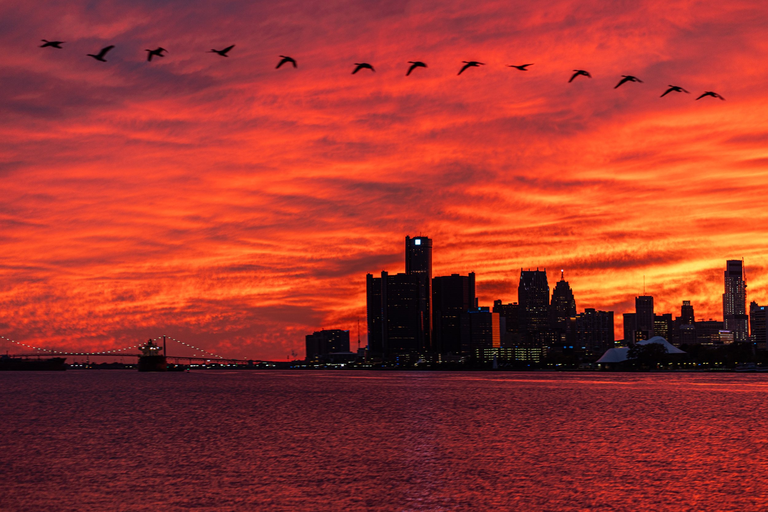 20240926-DetroitSkylineGeese-1.jpg