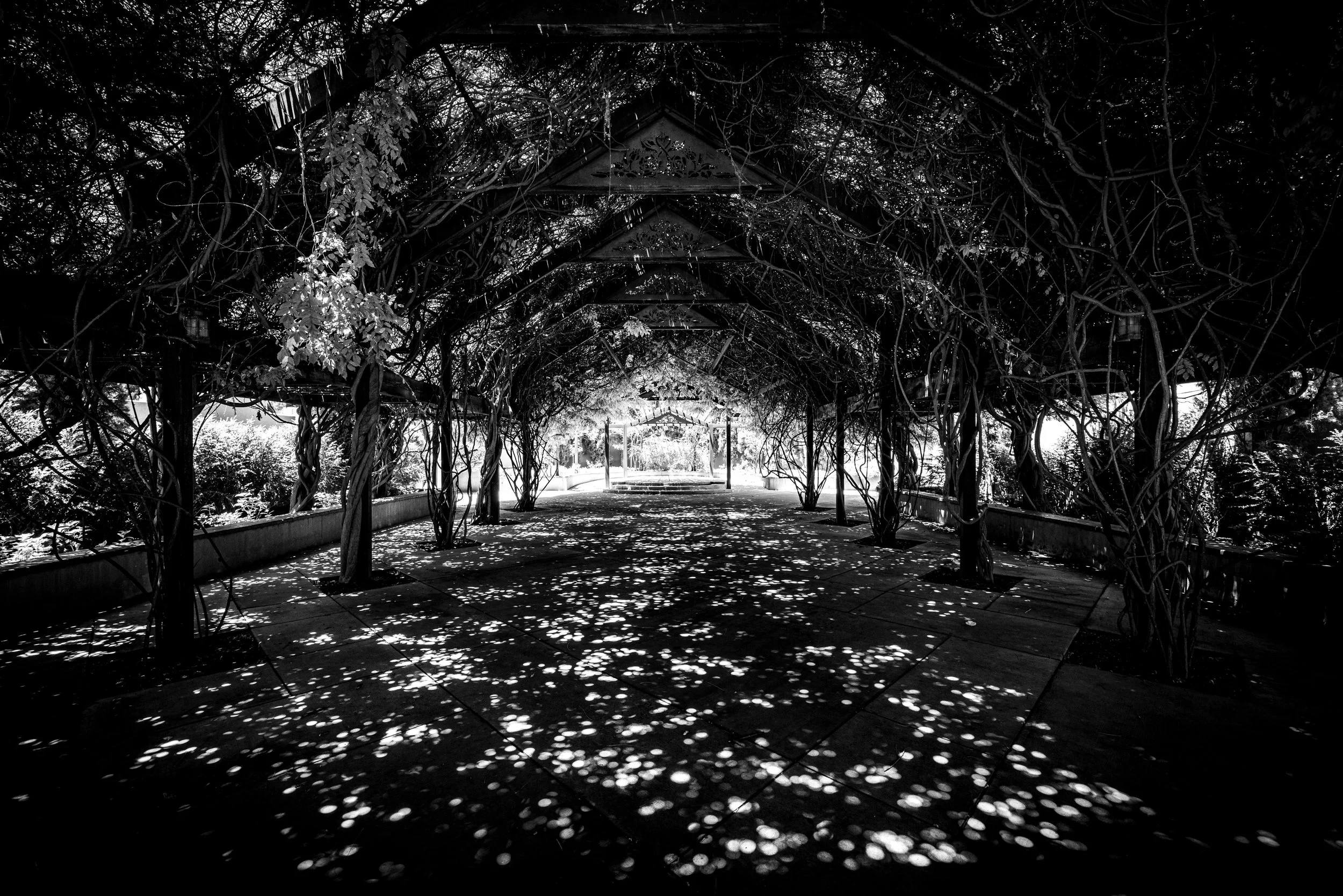 ABQ Botanical Gardens