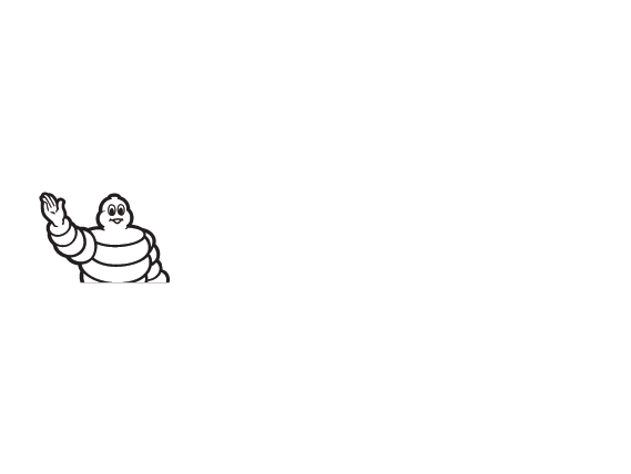 9-michelin-logo.png