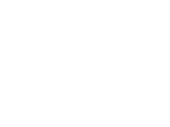 13-fairlight-logo.png
