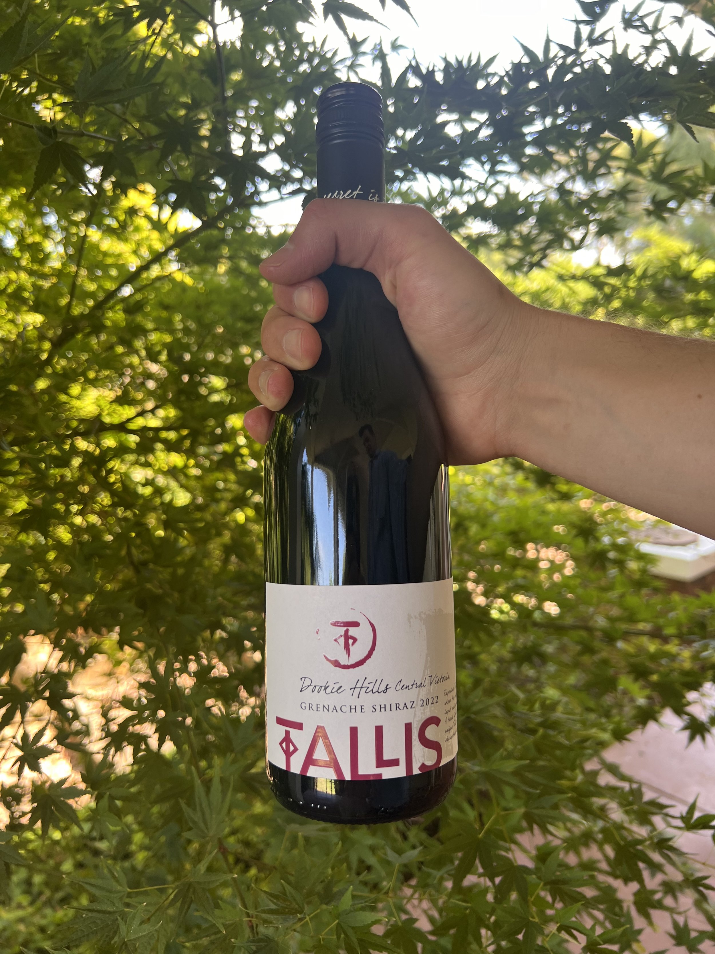 G Shiraz 22.jpg