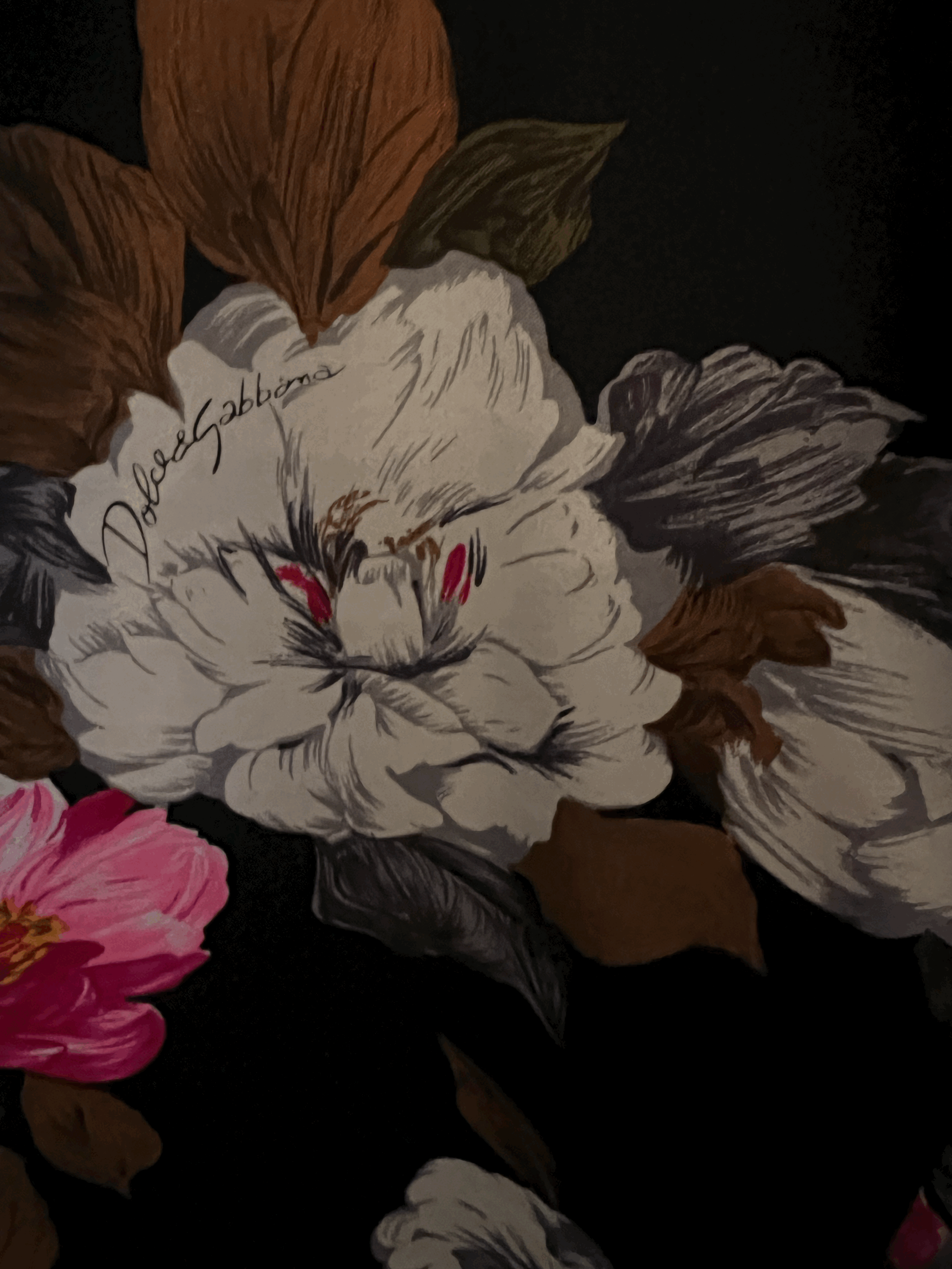 tempImageuBxBiA.gif