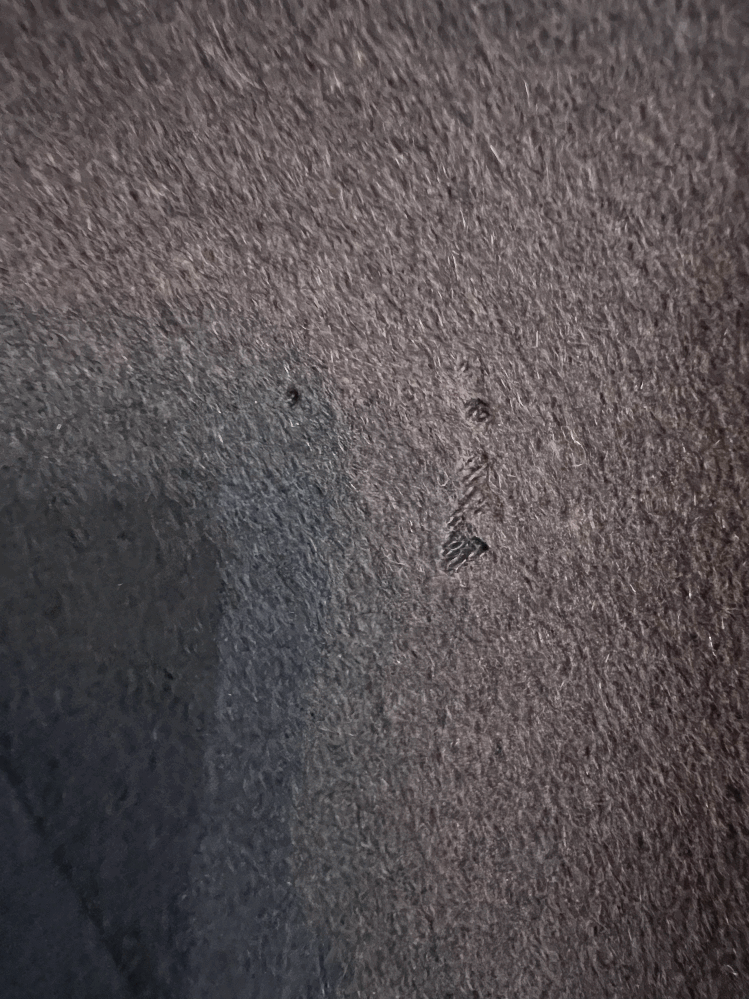 tempImageZ6LZQK.gif