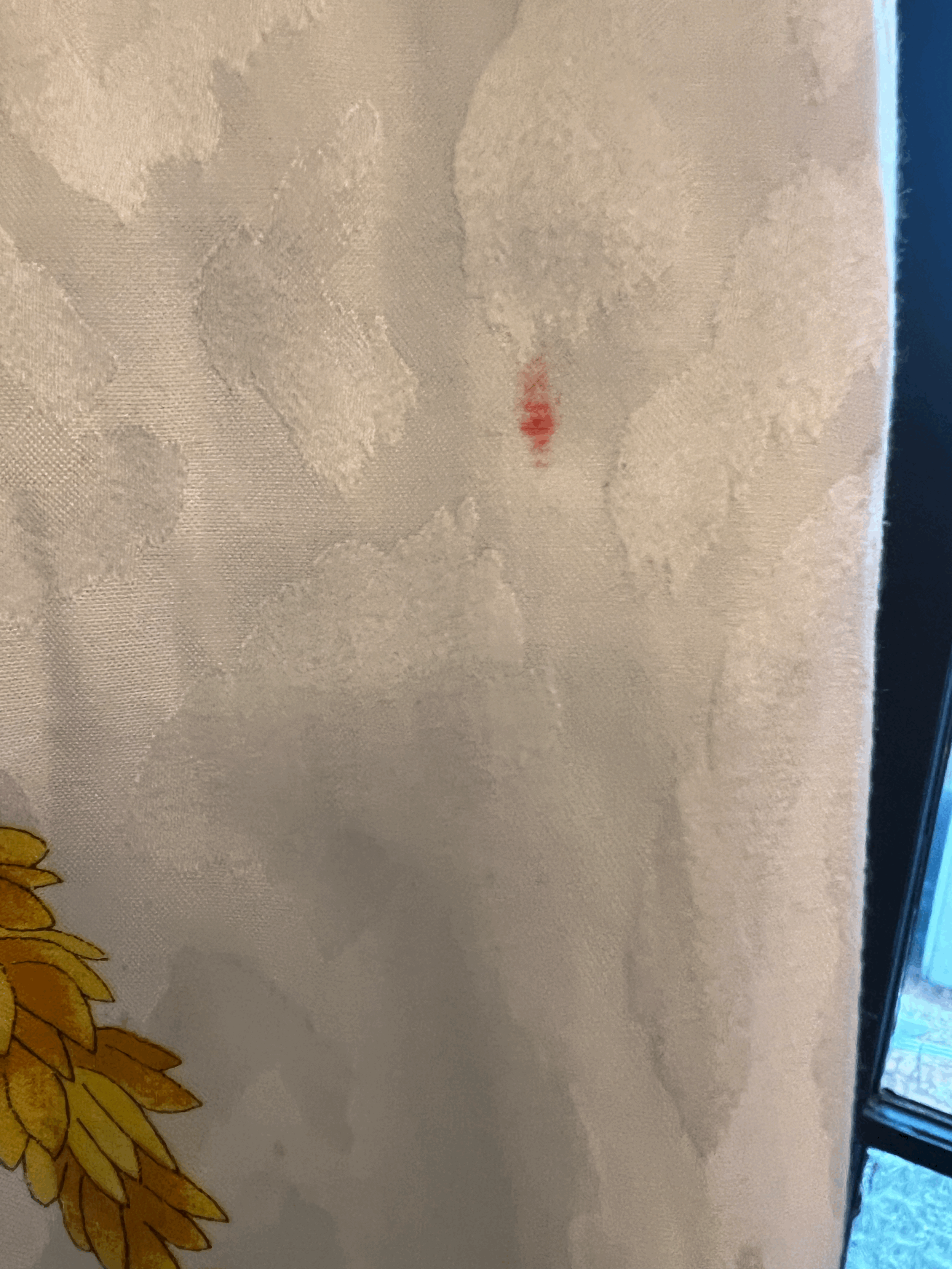 tempImageLR0ja8.gif
