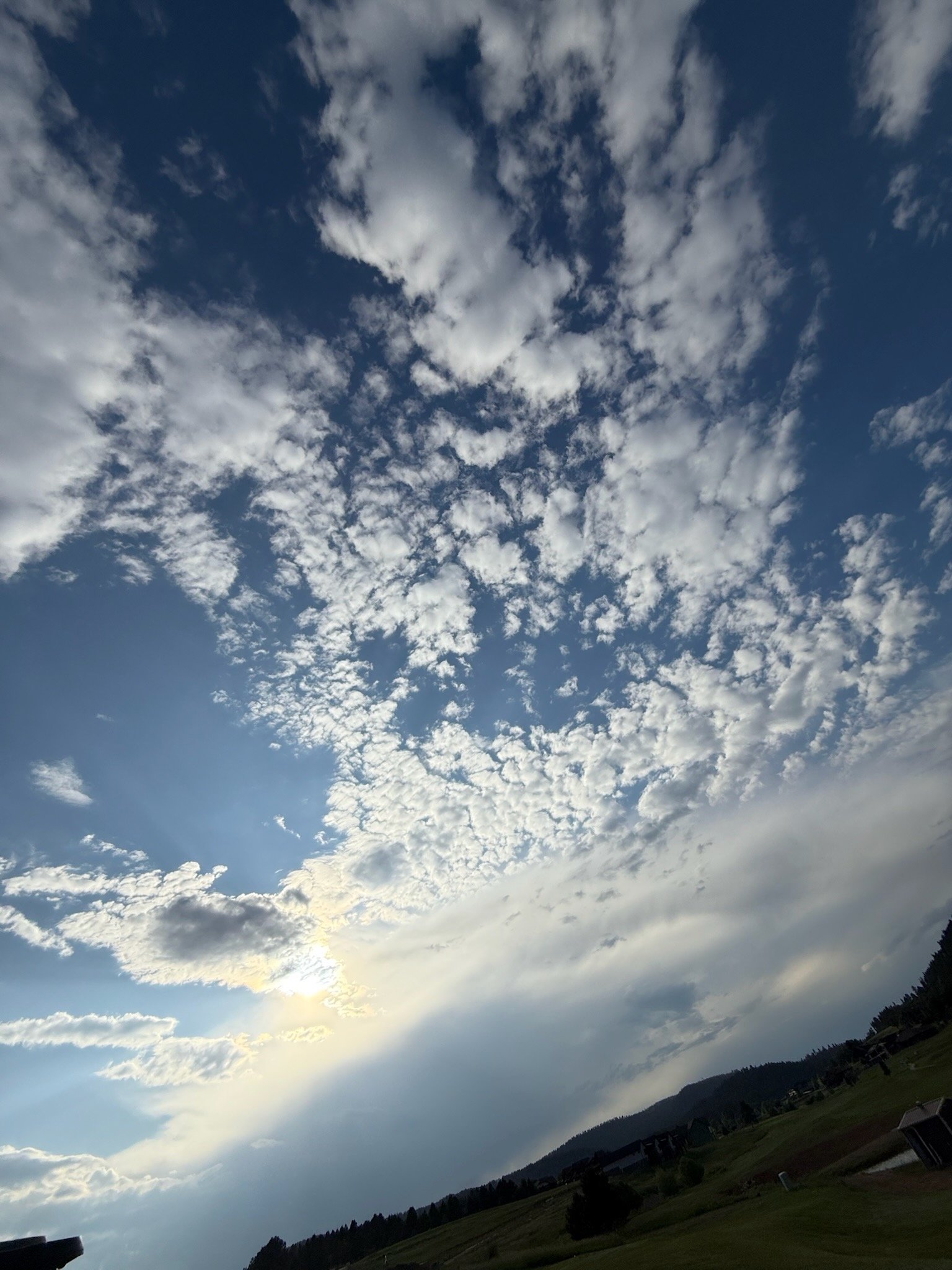 IMG_5277.jpeg