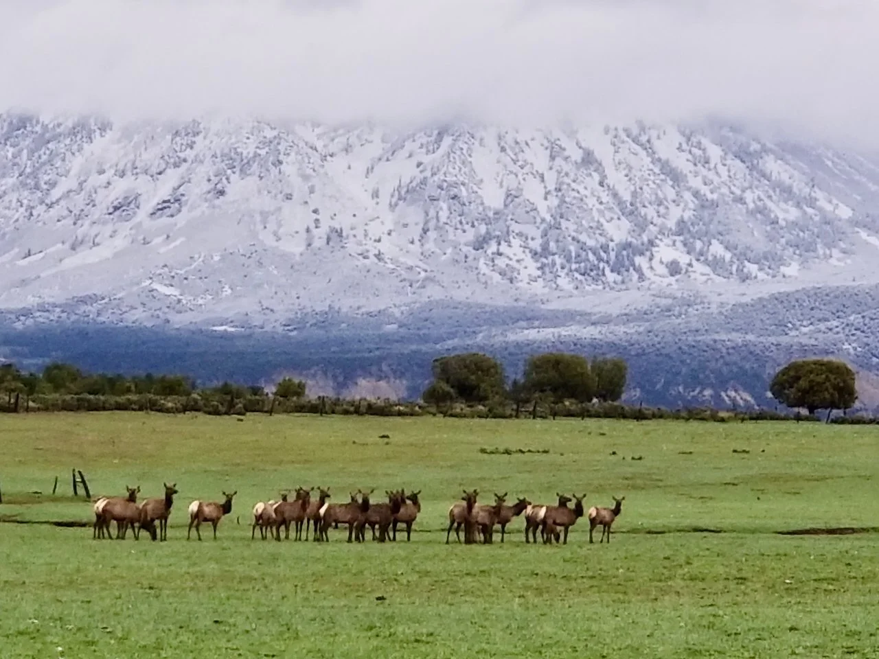 Estancia at Black Canyon - 35 of 49.jpeg