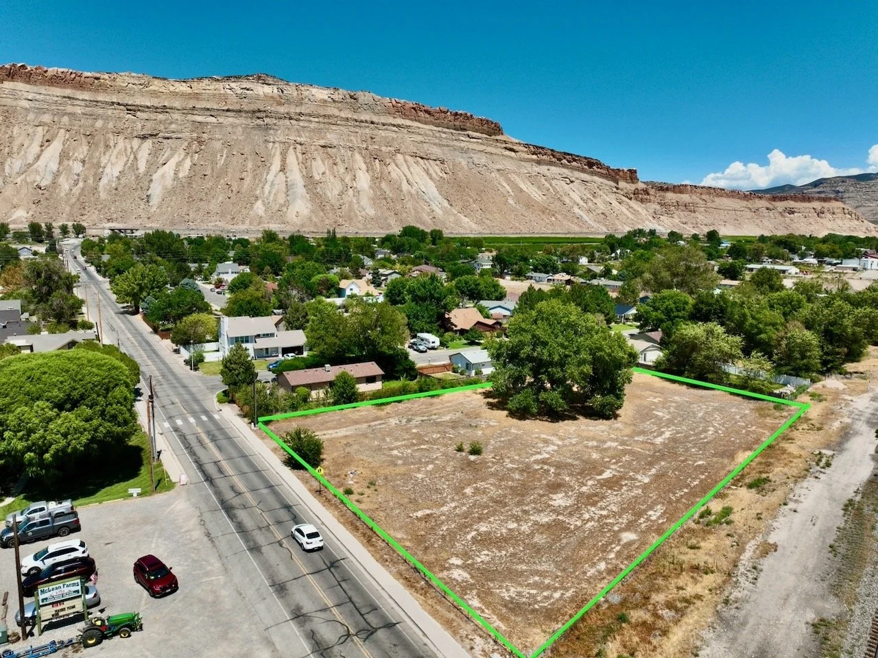 Palisade Cottonwood - 3 of 11.jpeg