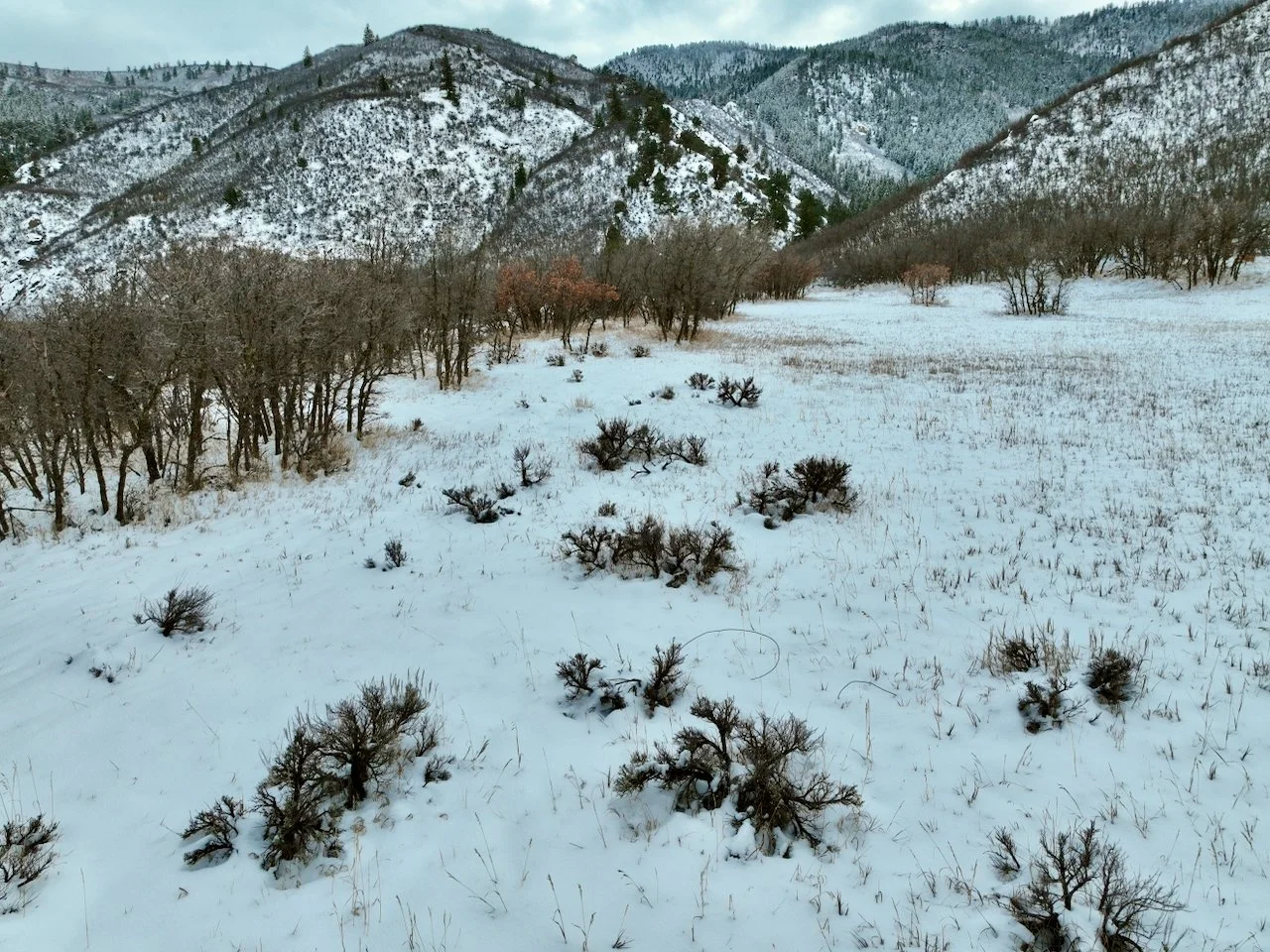 Miner's Crossing Getaway - 5 of 9.jpeg