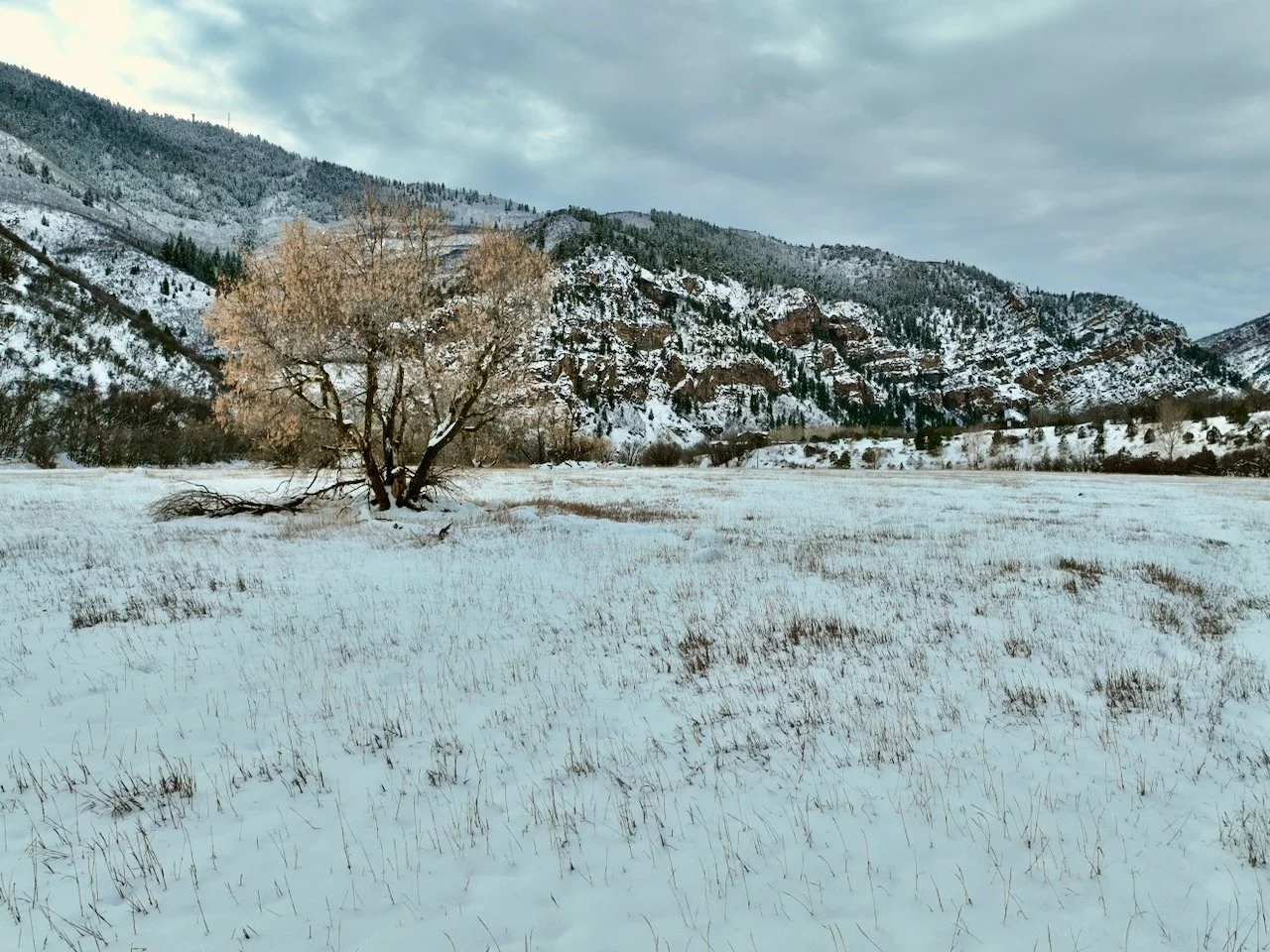 Miner's Crossing Getaway - 2 of 9.jpeg