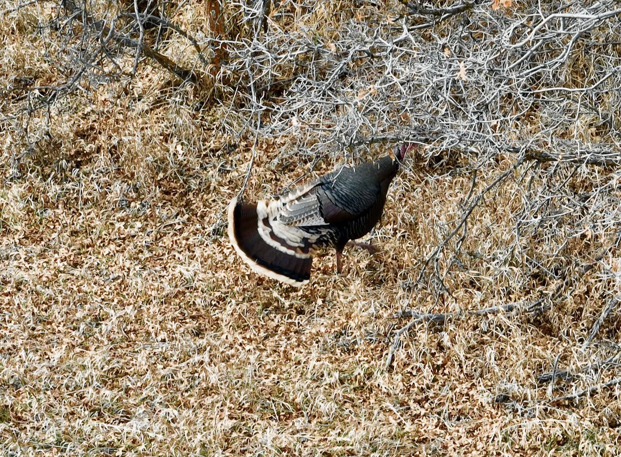 Miner's Crossing Getaway - 8 of 9.jpeg