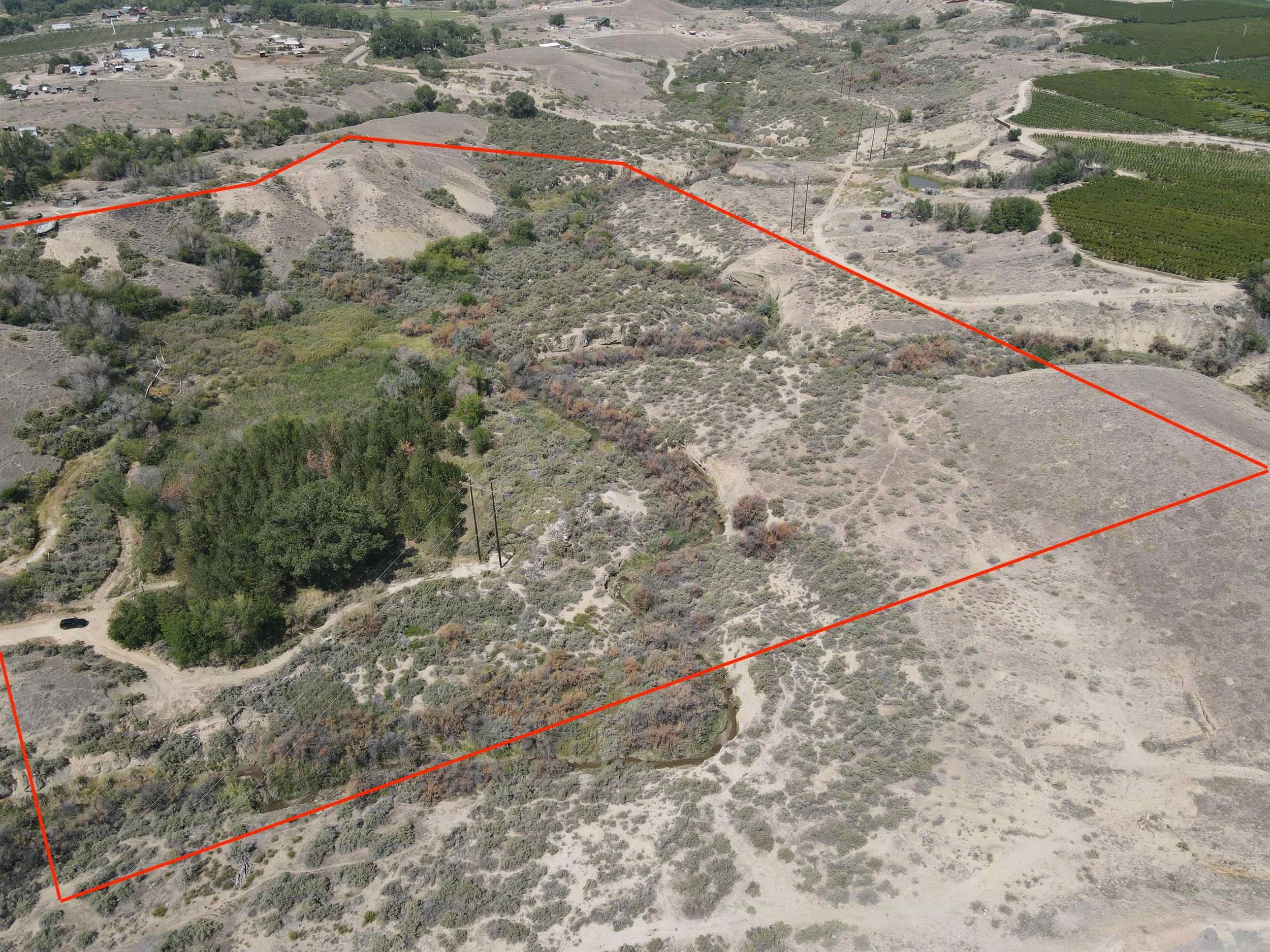 03 - 20214378-1a.jpg