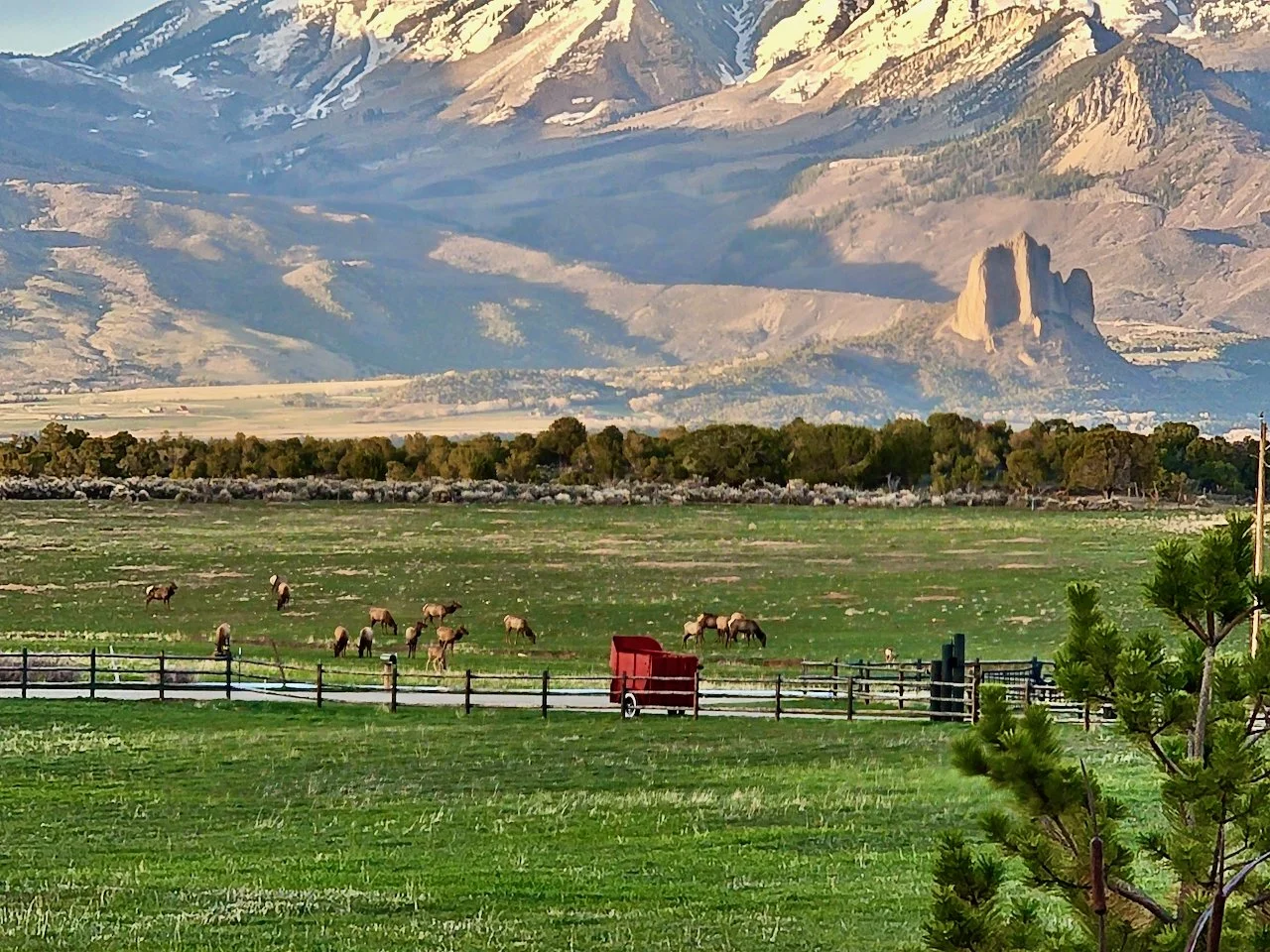 Estancia at Black Canyon - 37 of 49.jpeg