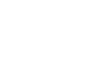 MealSense Program